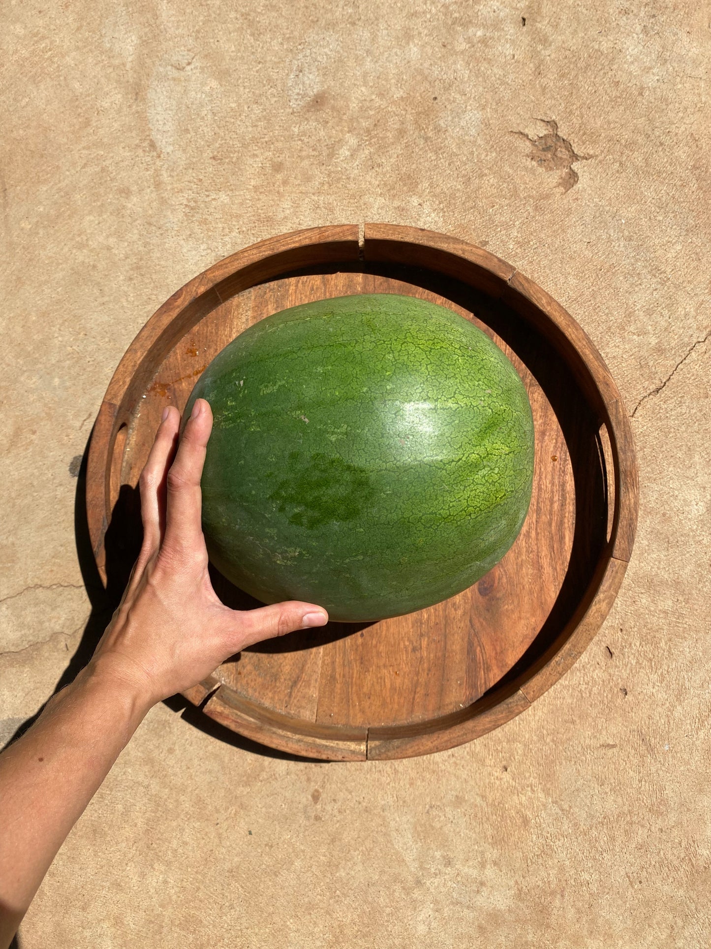 Watermelon,seedless, super sweet.