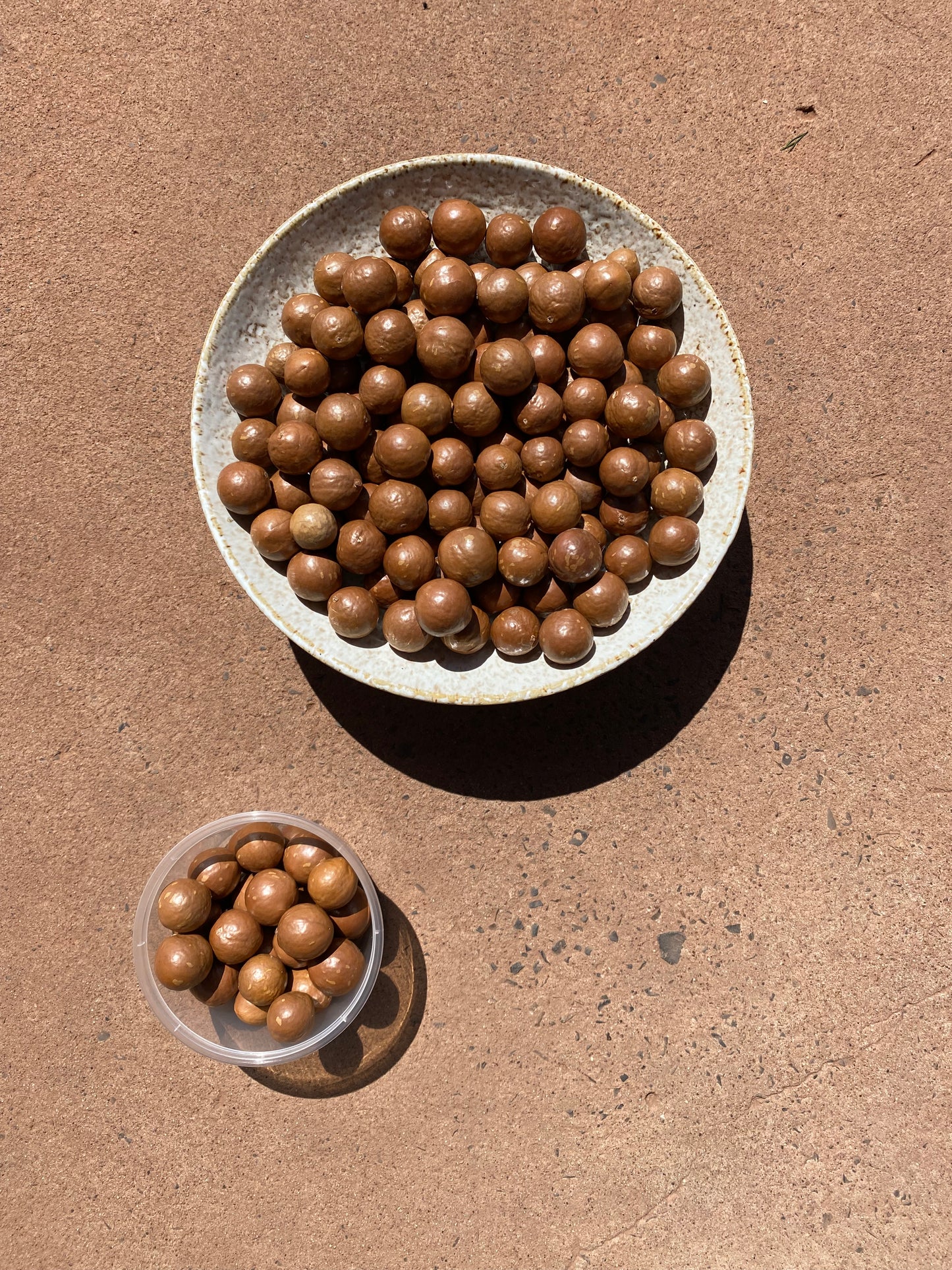Macadamia Nuts in Shell, 500g
