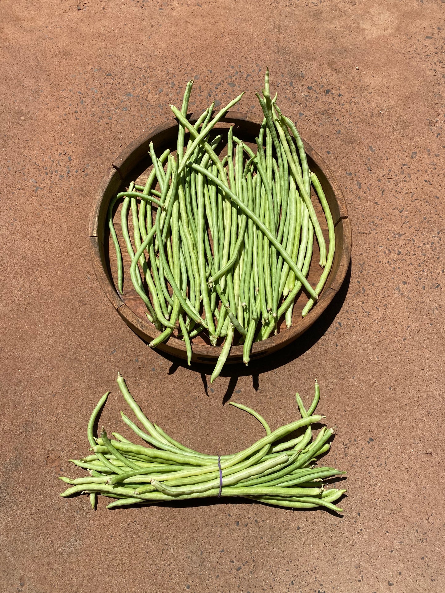 Snake Beans, 400g