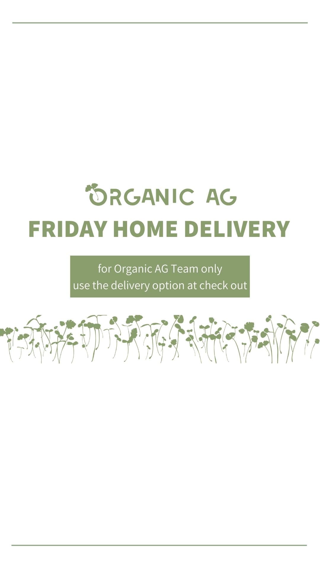 Friday Home Delivery