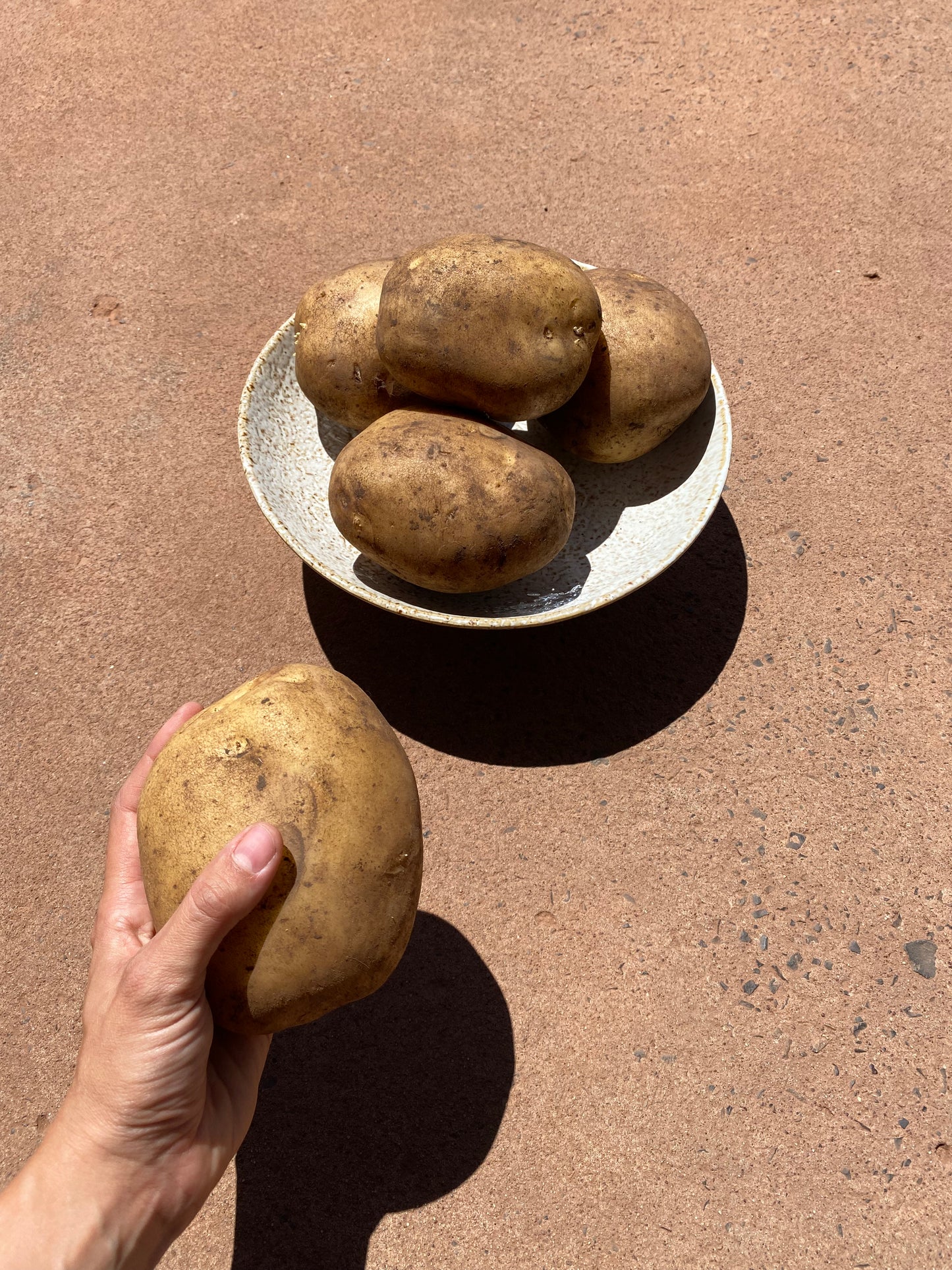 Potatoes, Nicola chats, 3kg special