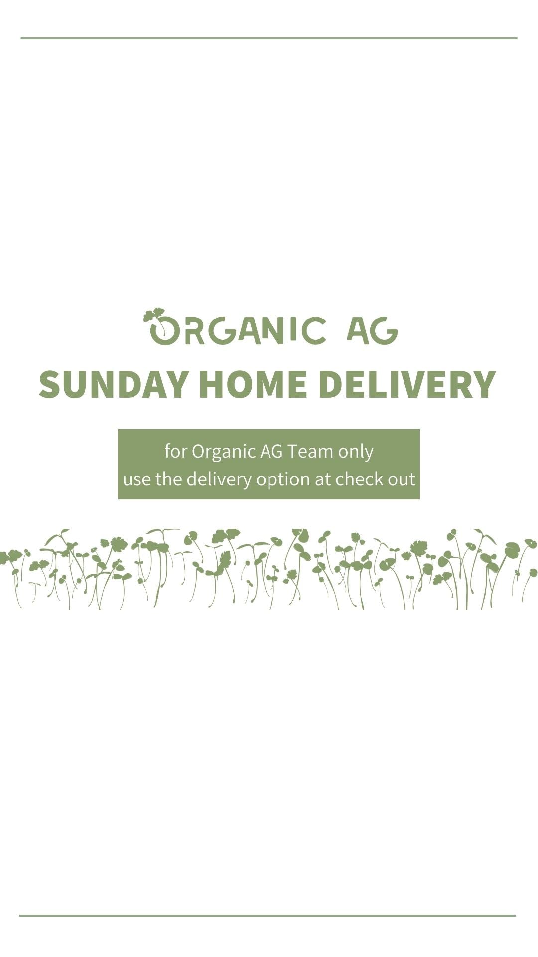 Sunday Home Delivery
