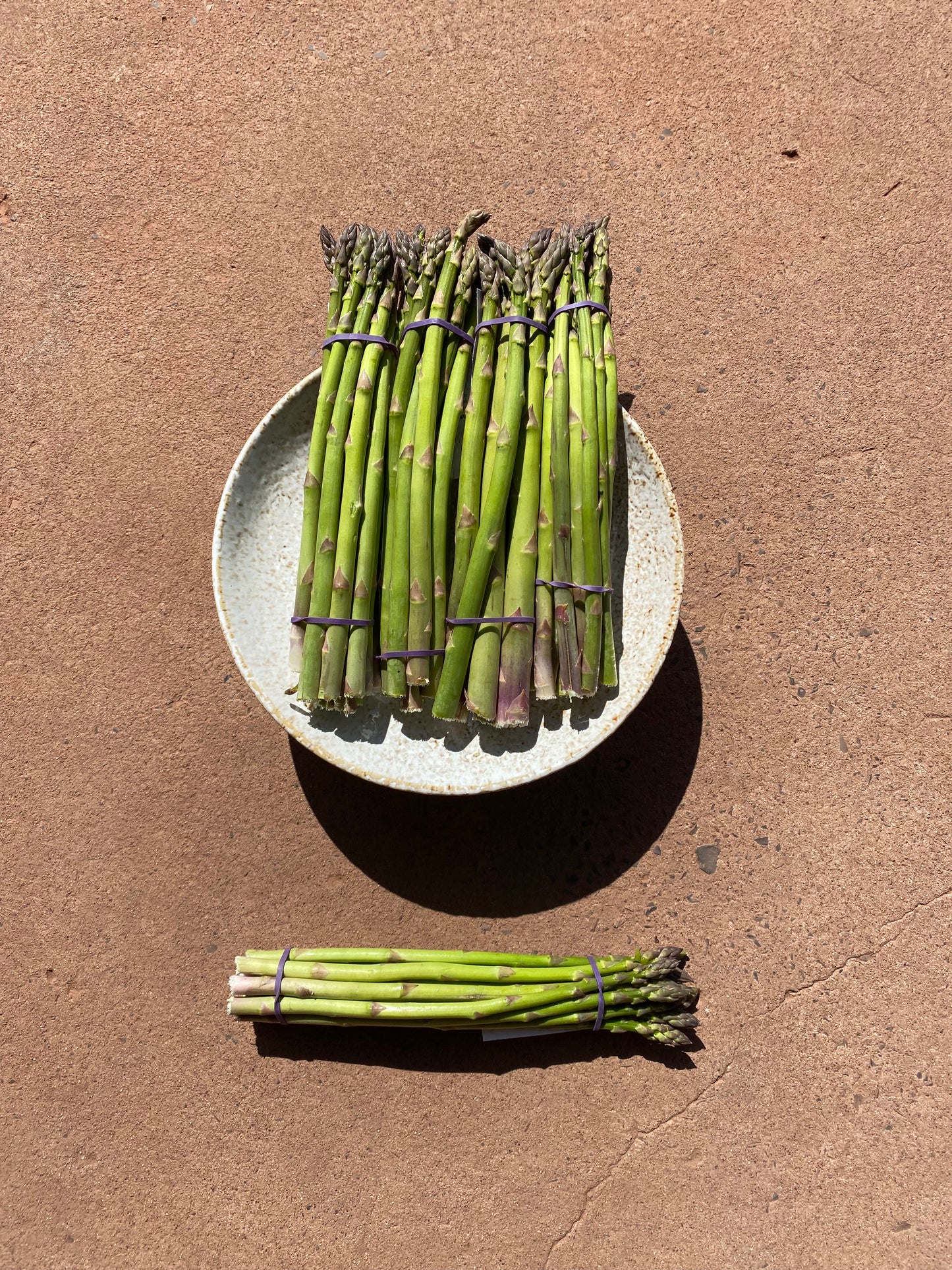 Asparagus new season