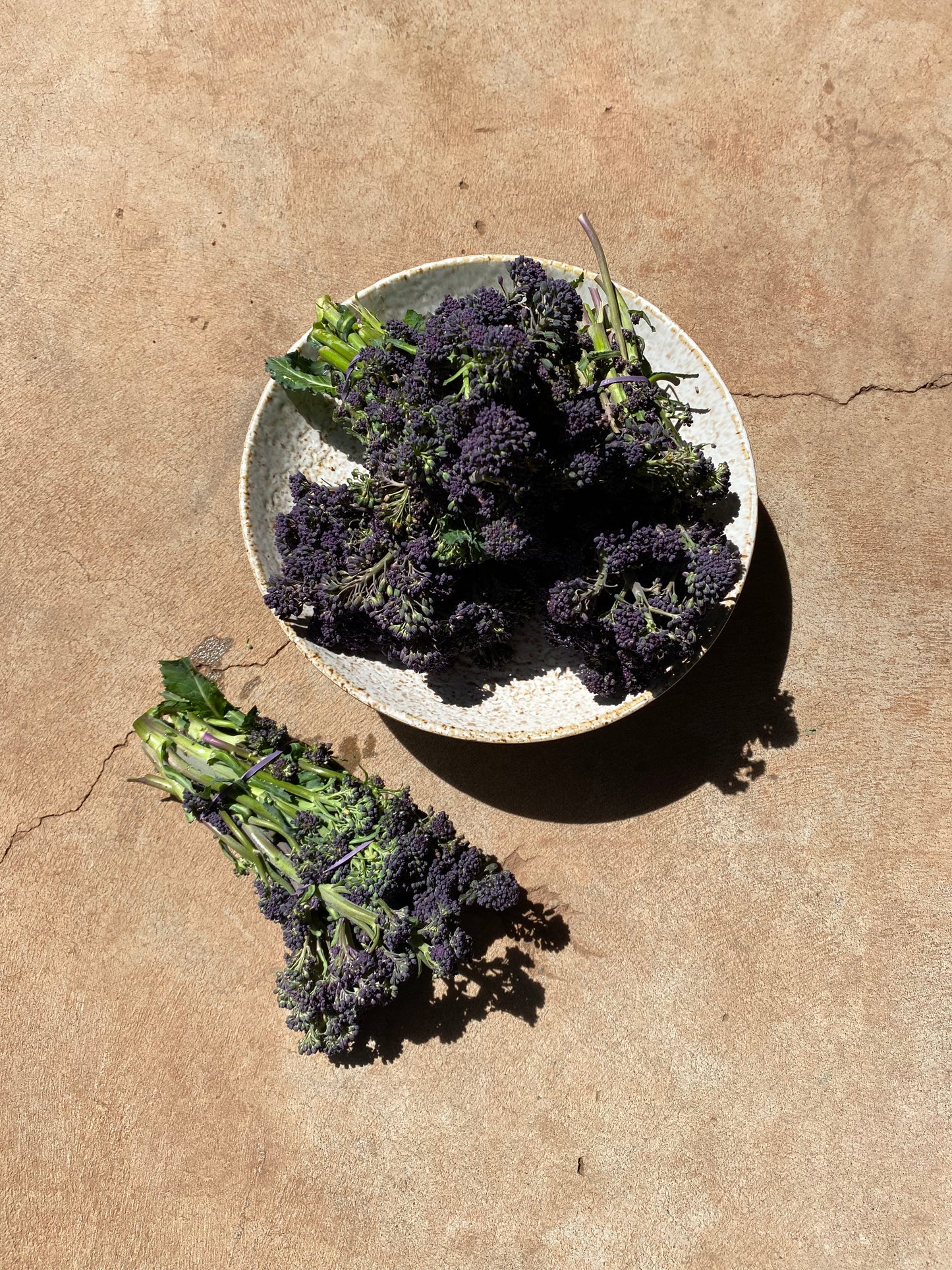 Broccolini purple