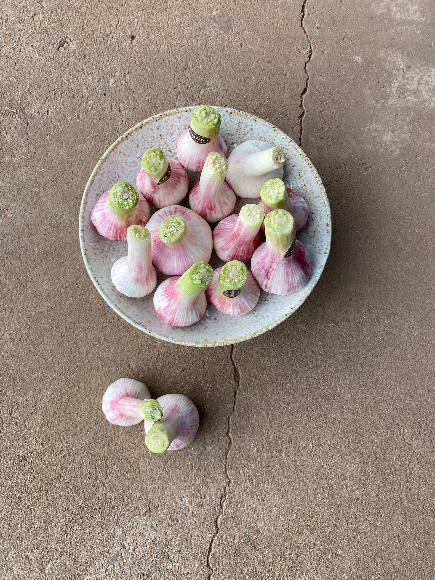 Garlic, green