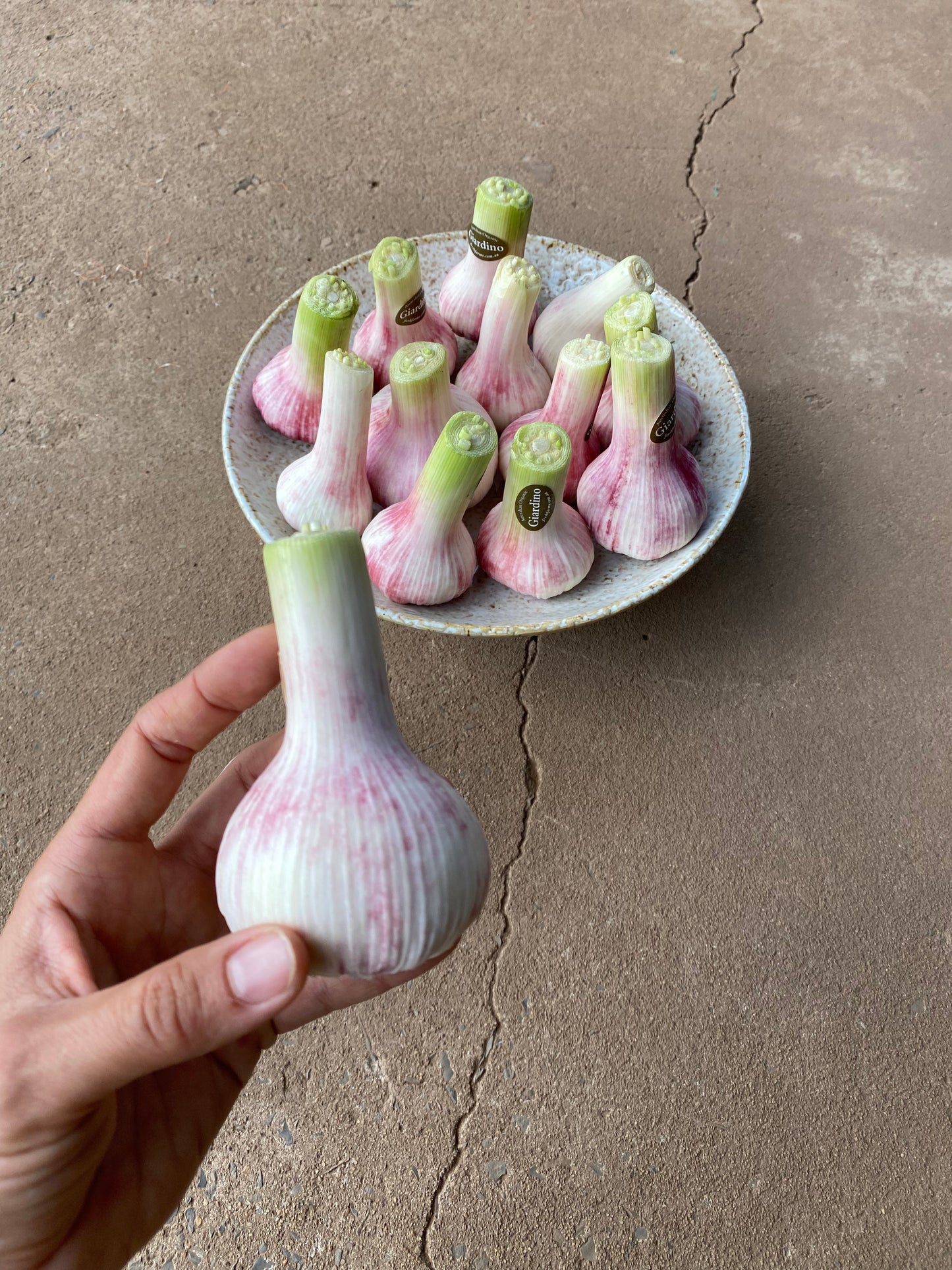 Garlic, green