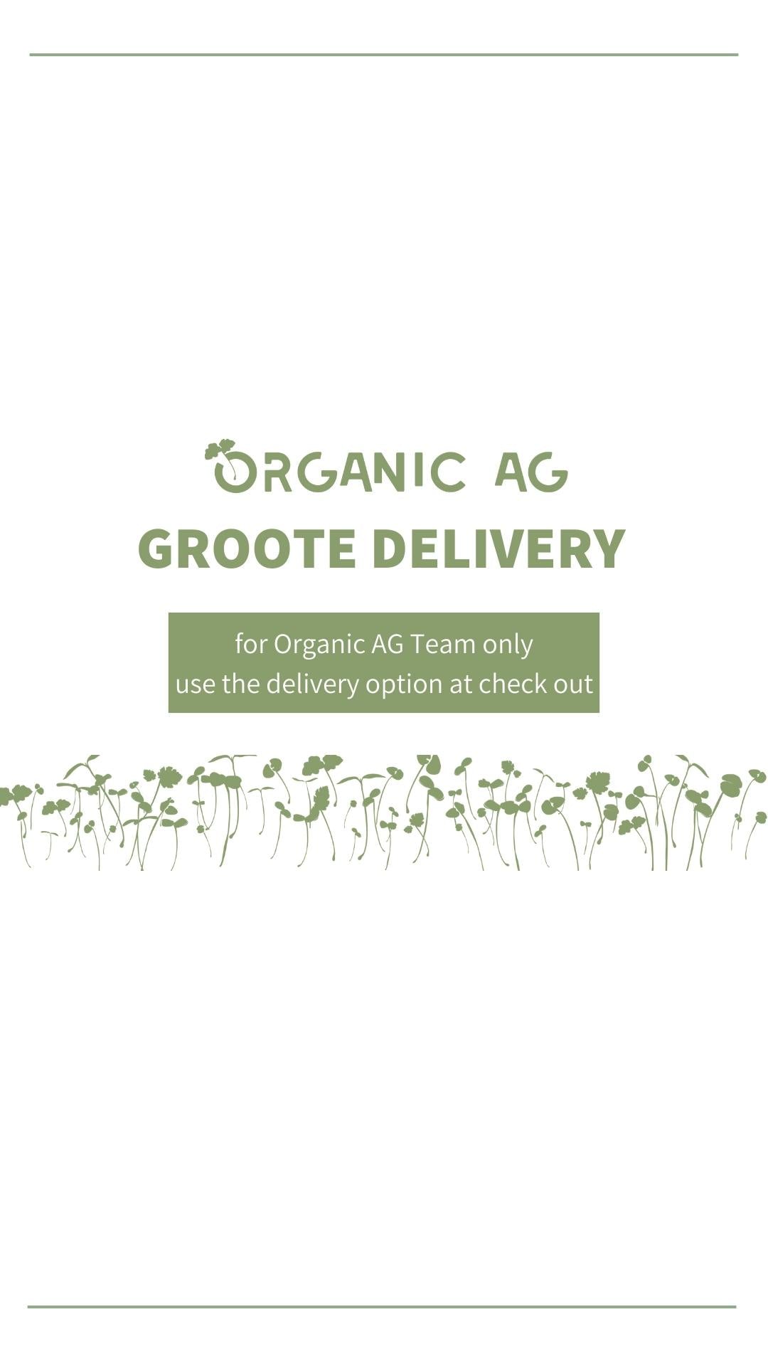 Groote Delivery