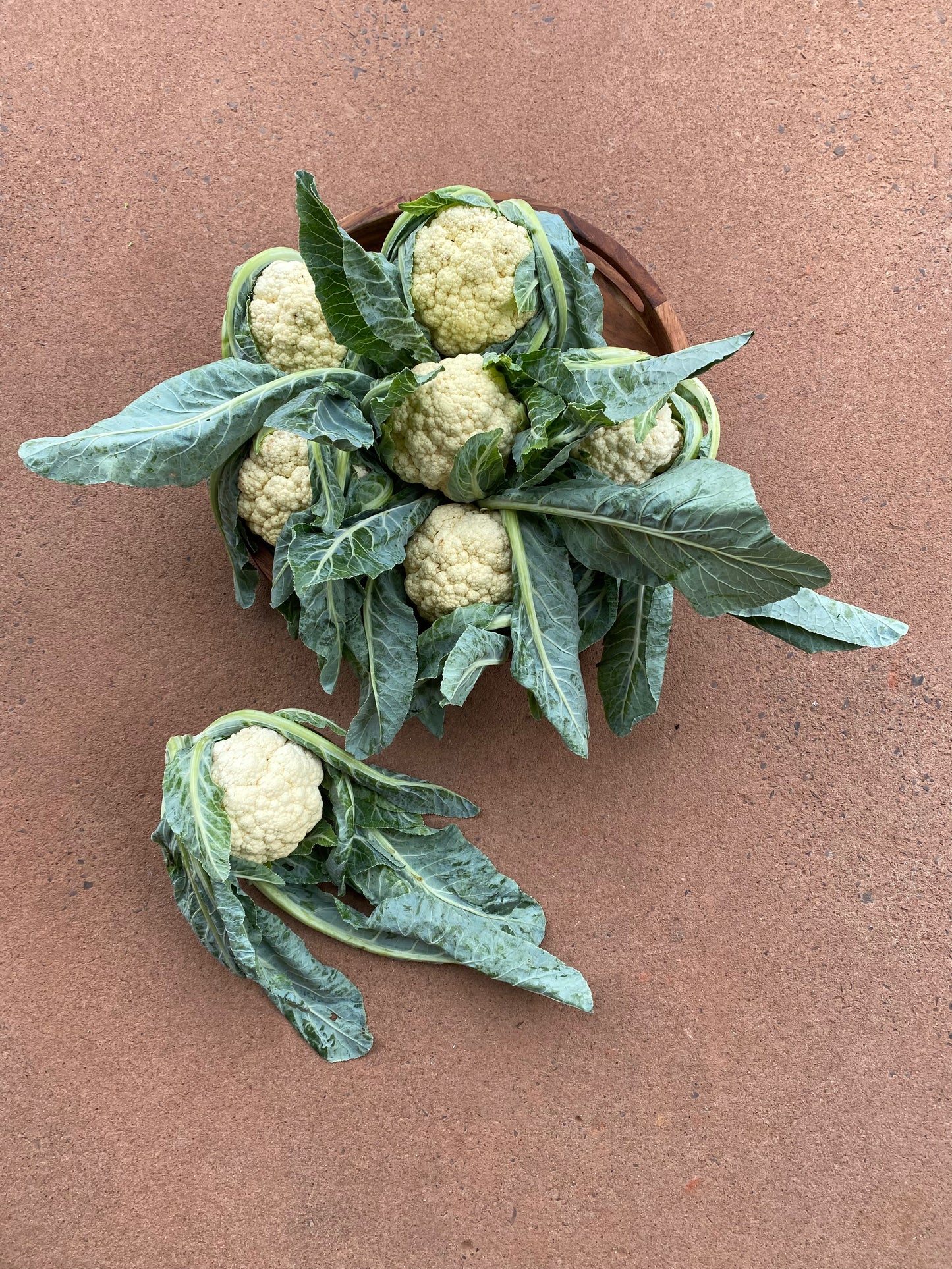 Cauliflower,