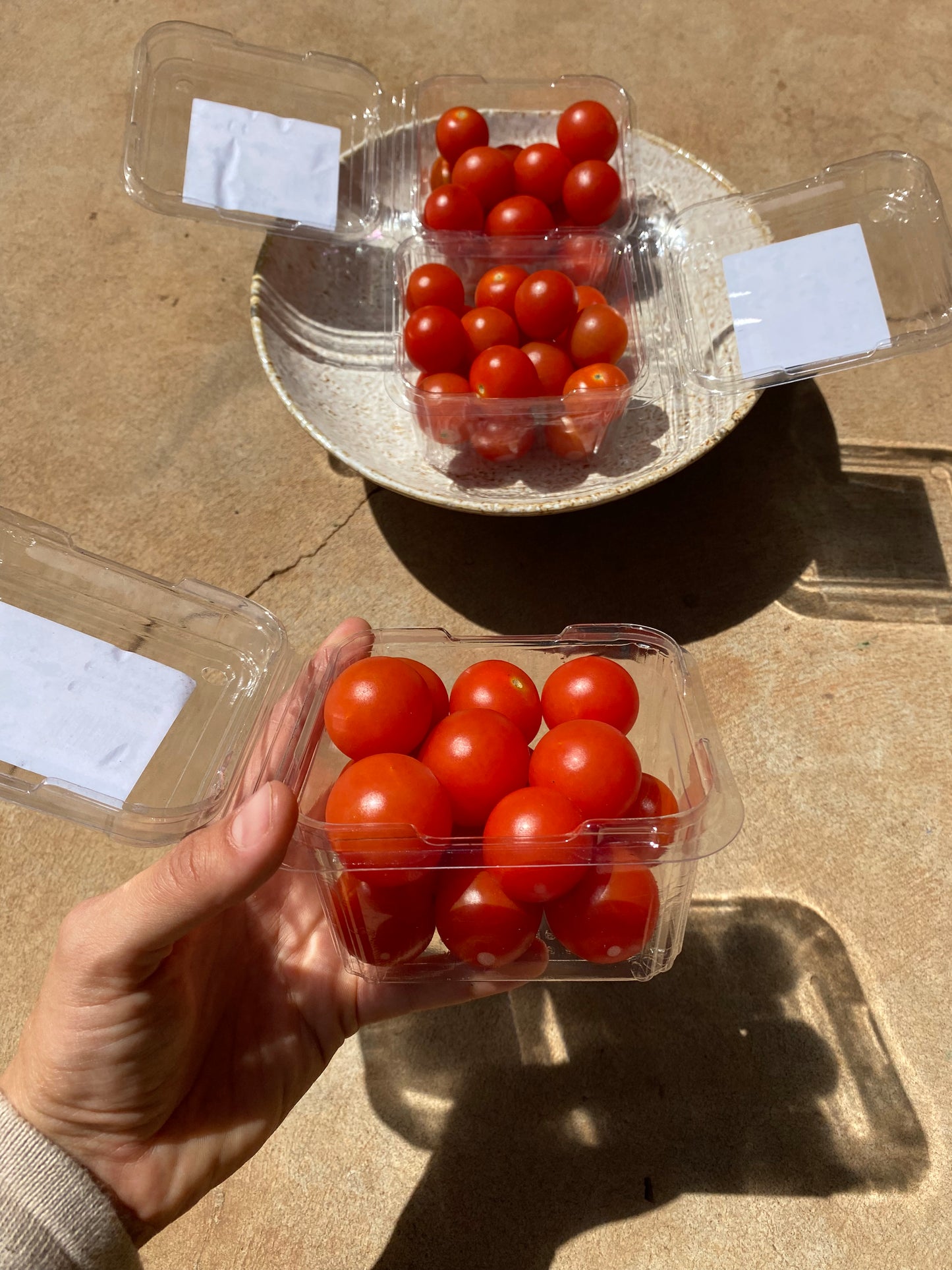 Cherry Tomatoes