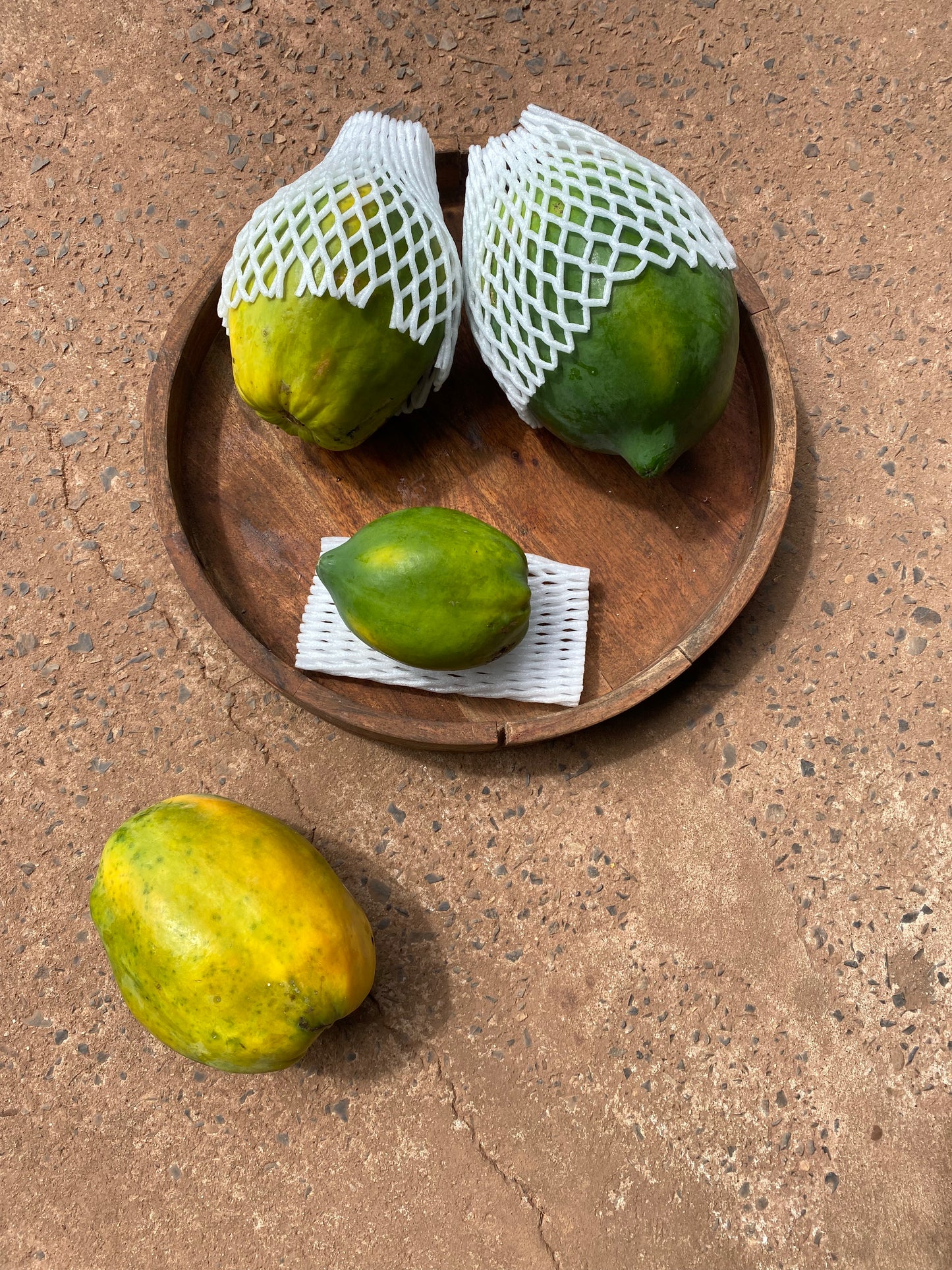 Pawpaw red Large