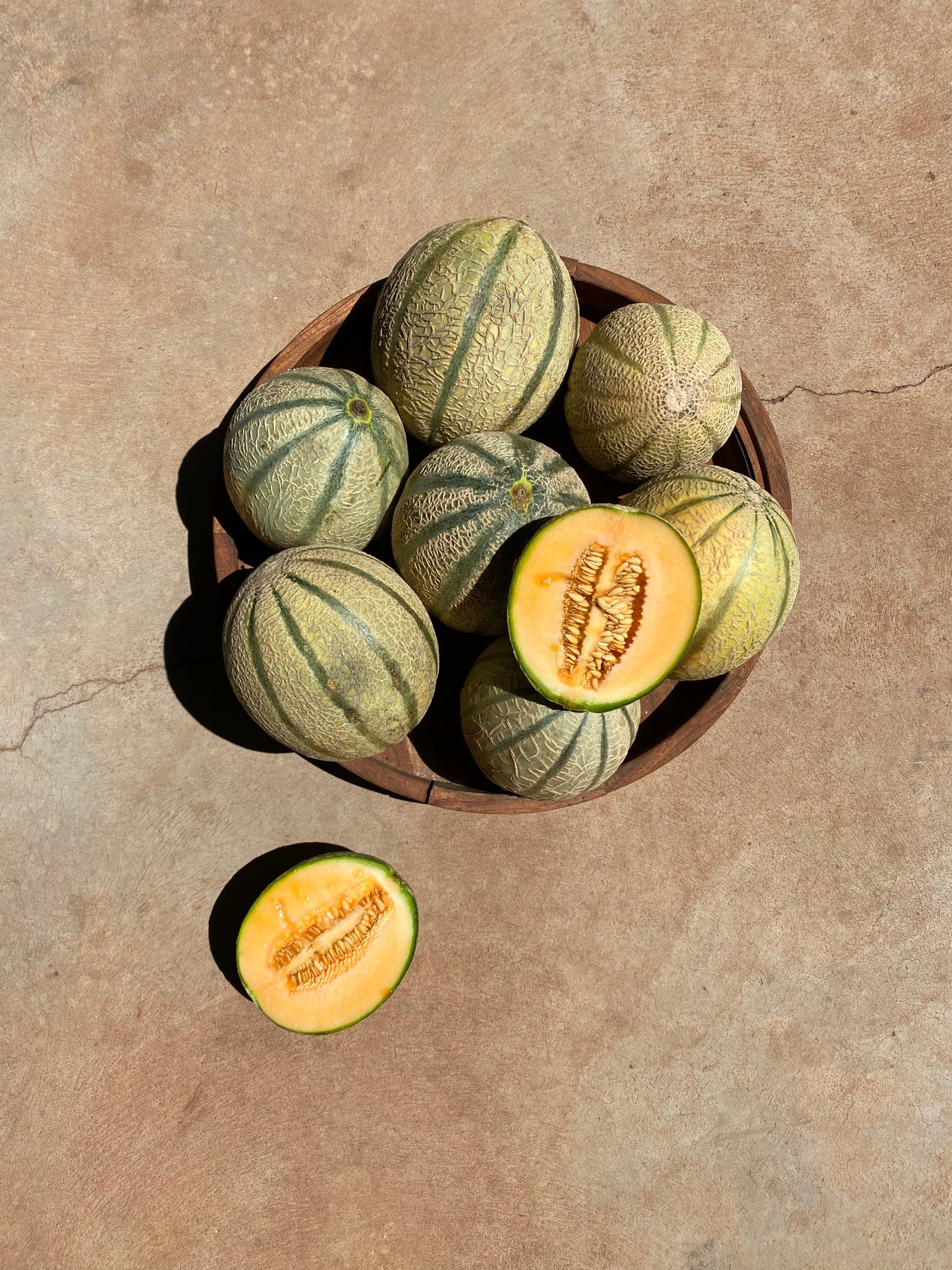 Rock Melon
