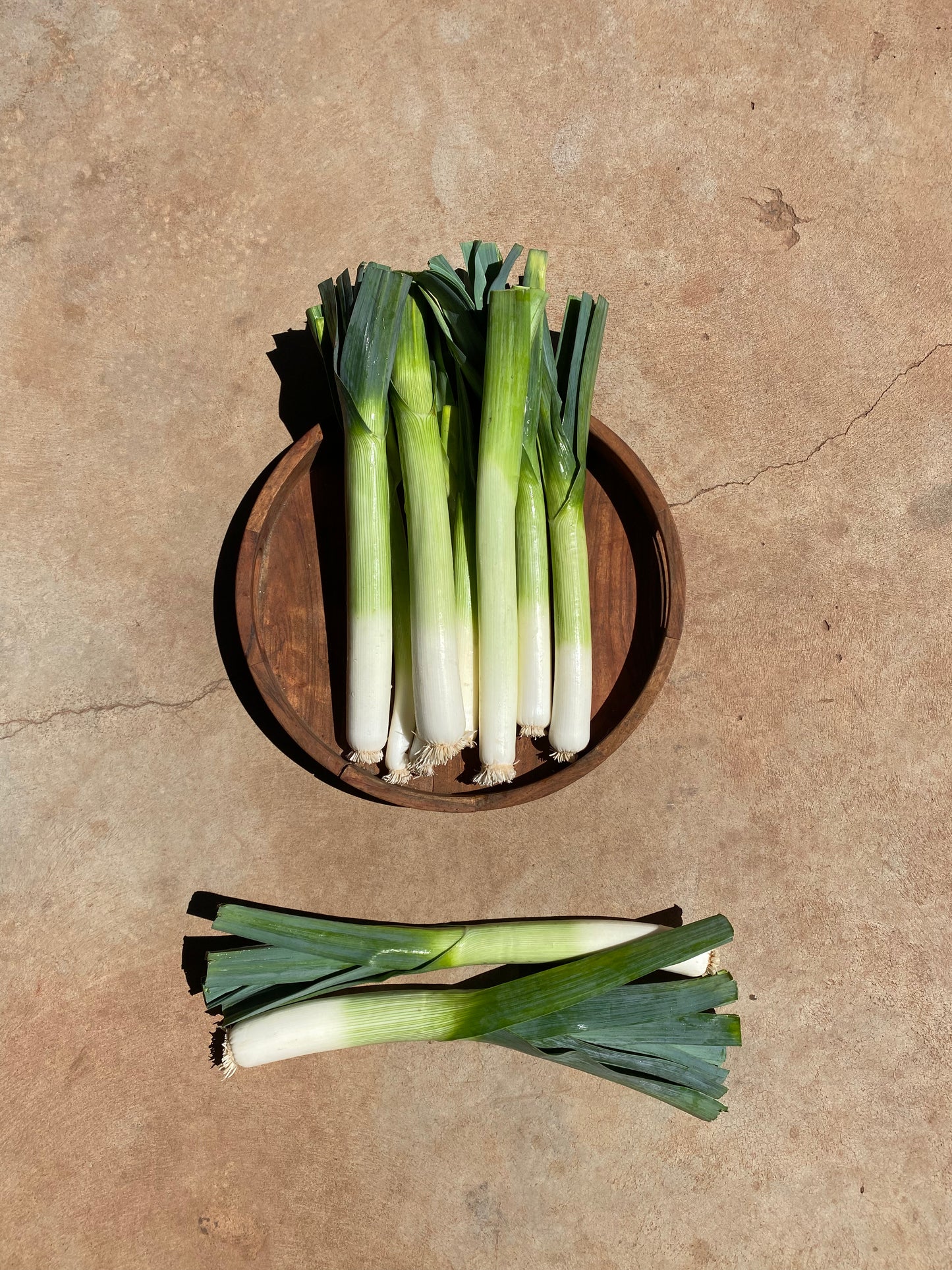 Leek