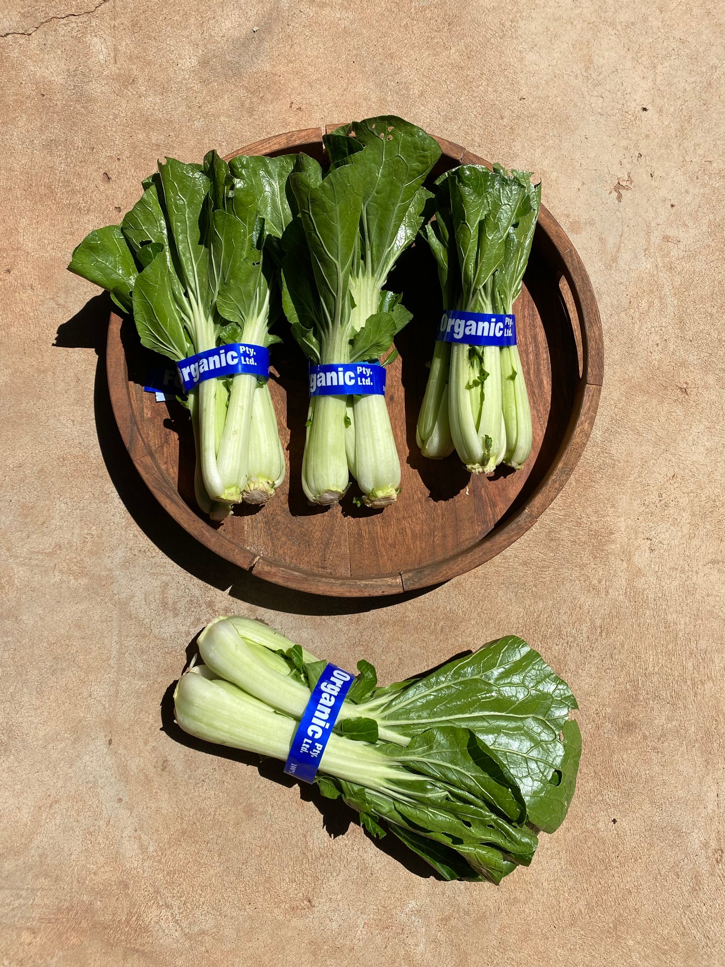Bok Choy