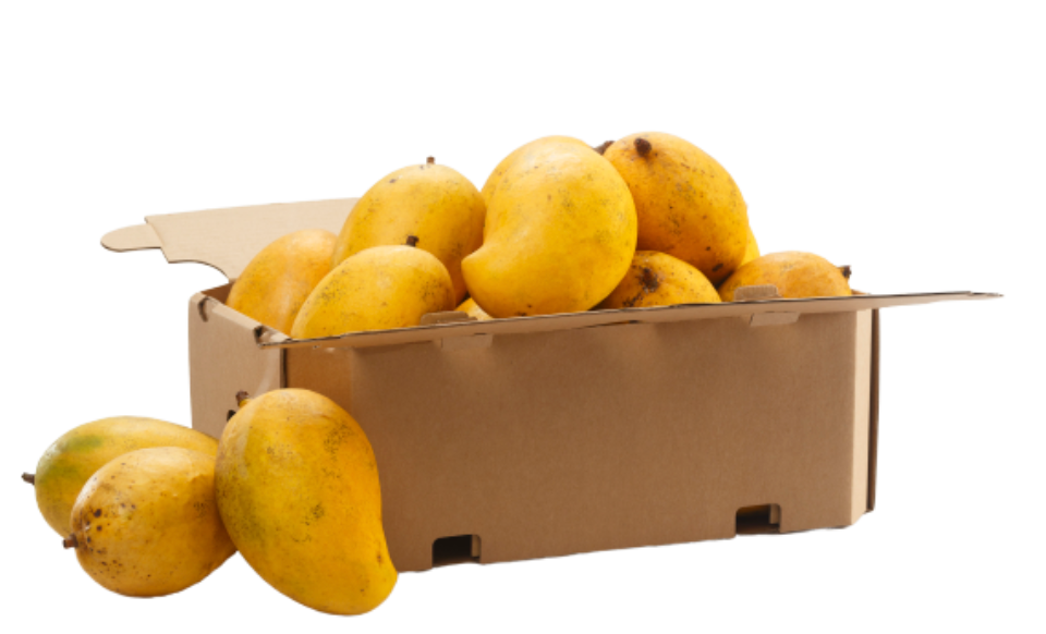 Mango Box, 10kg local