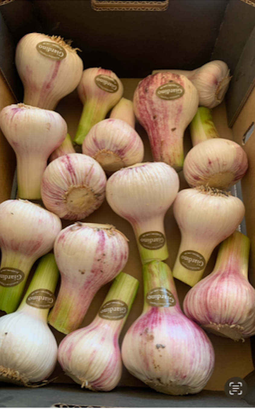 Garlic, green