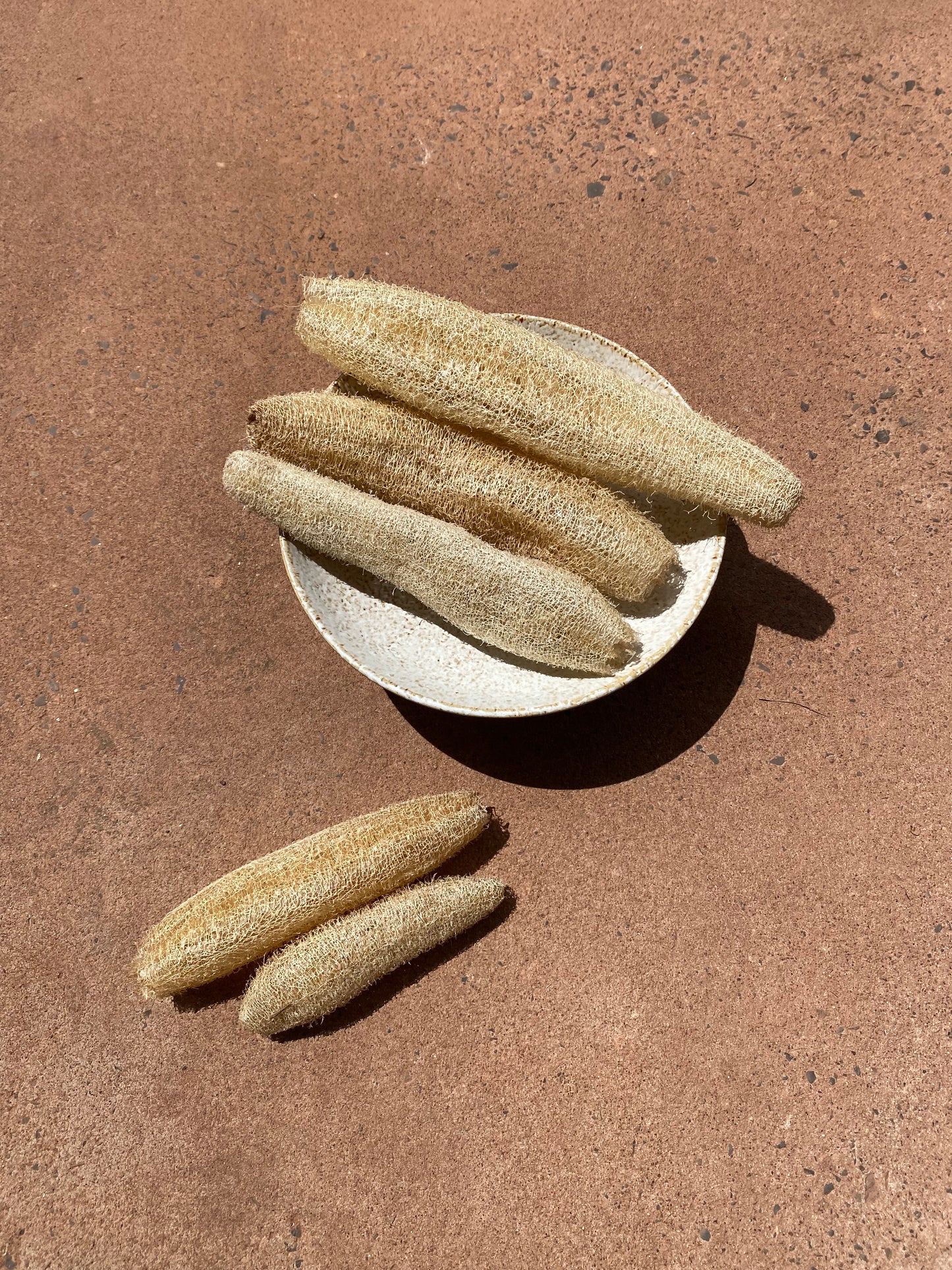 Luffa Sponge