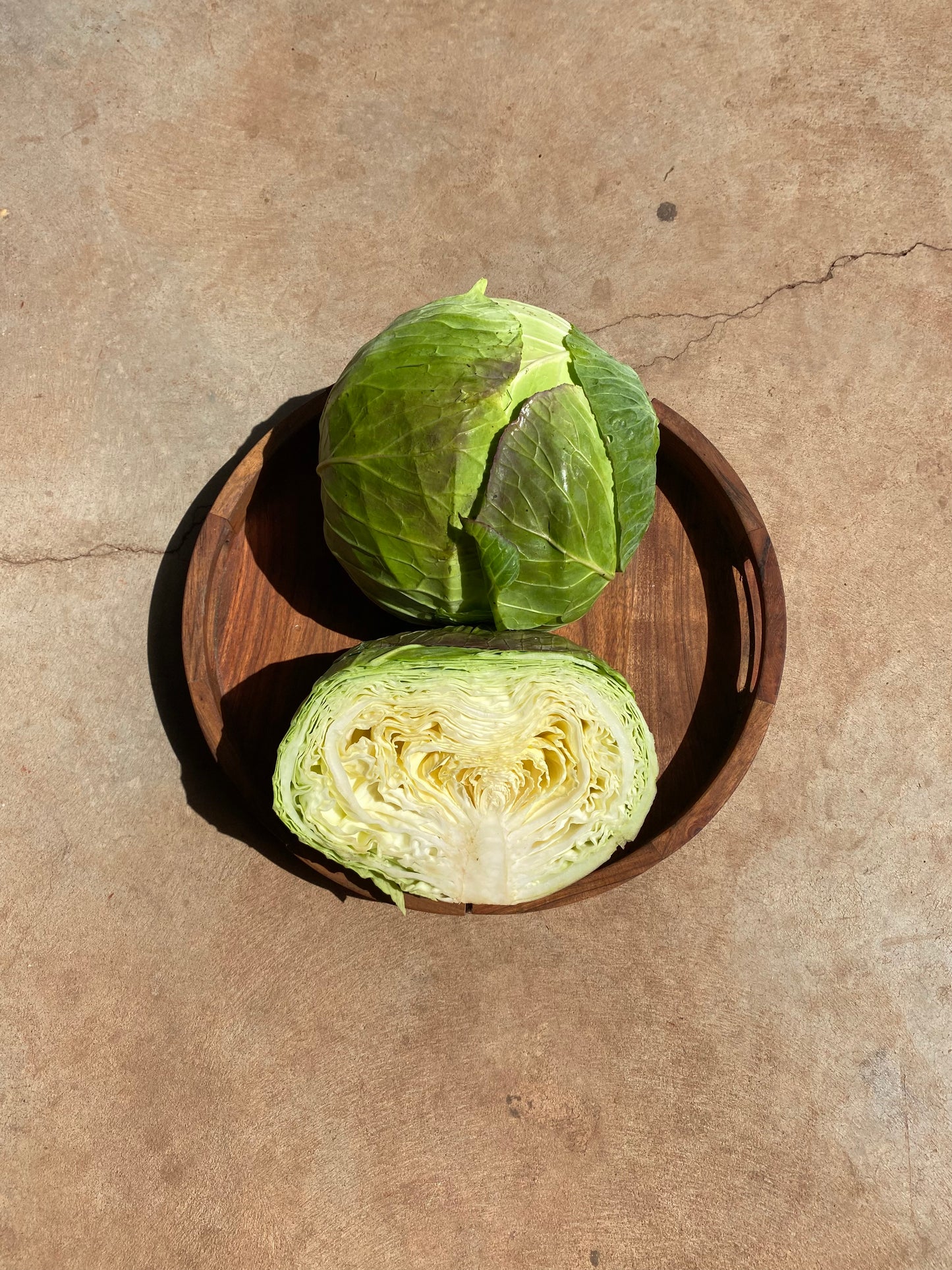 Cabbage green