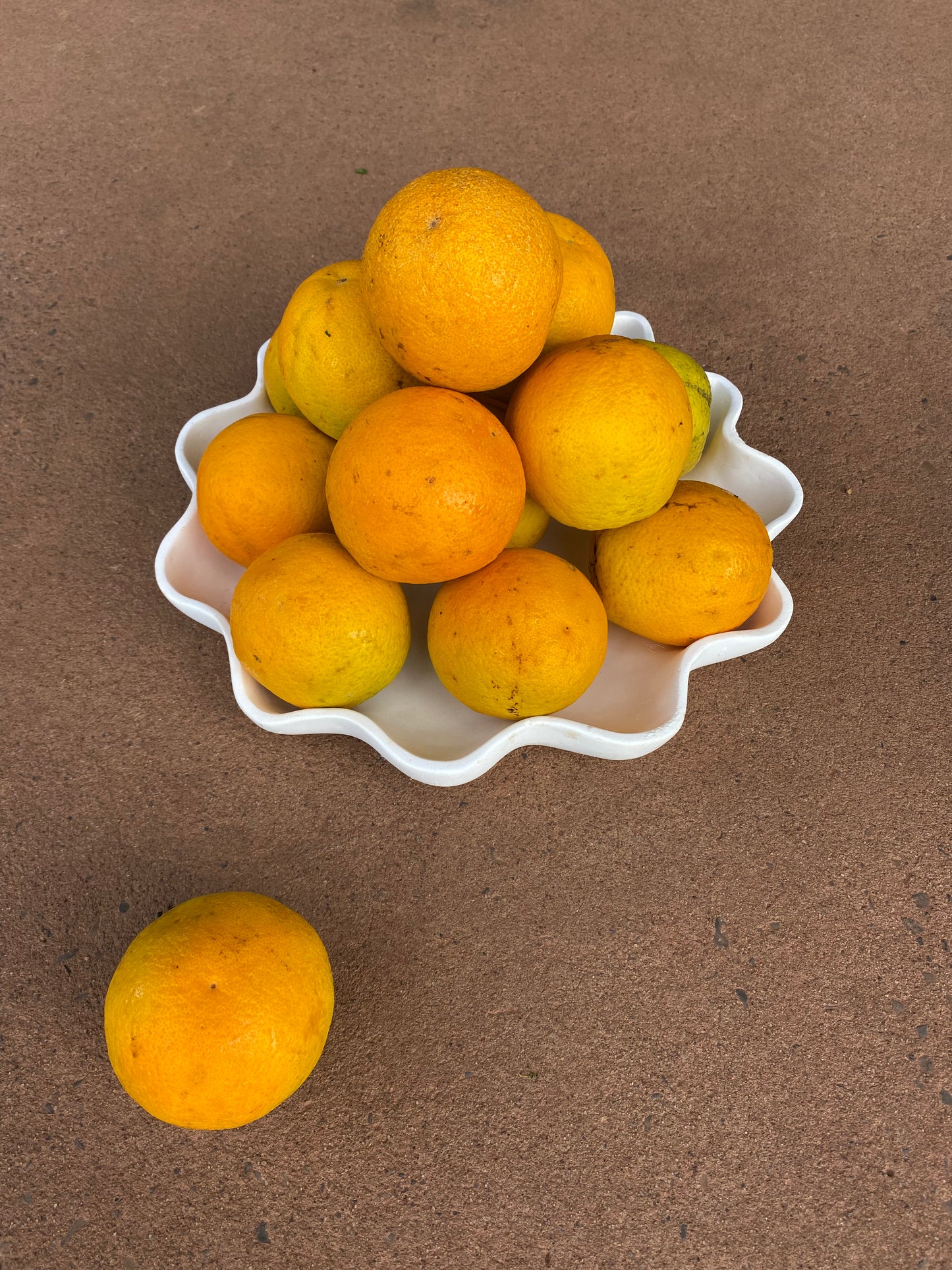 Oranges, navel 1kg