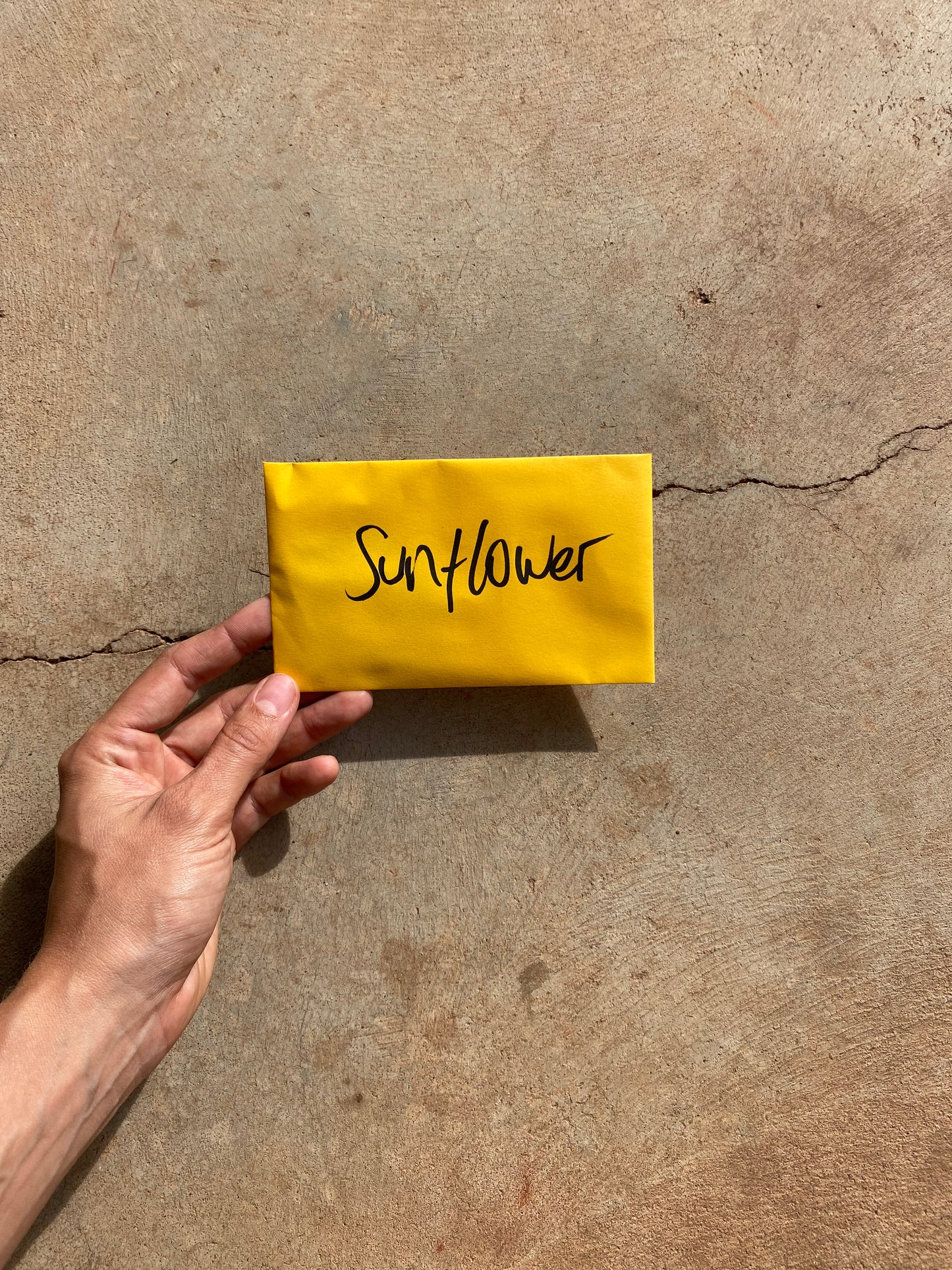 Sunflower Seed Packet