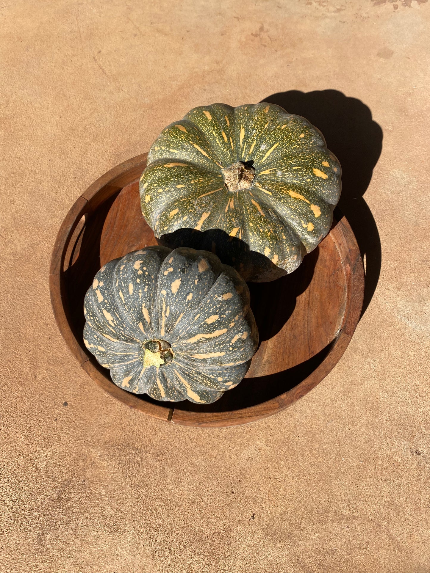 Jap Pumpkin
