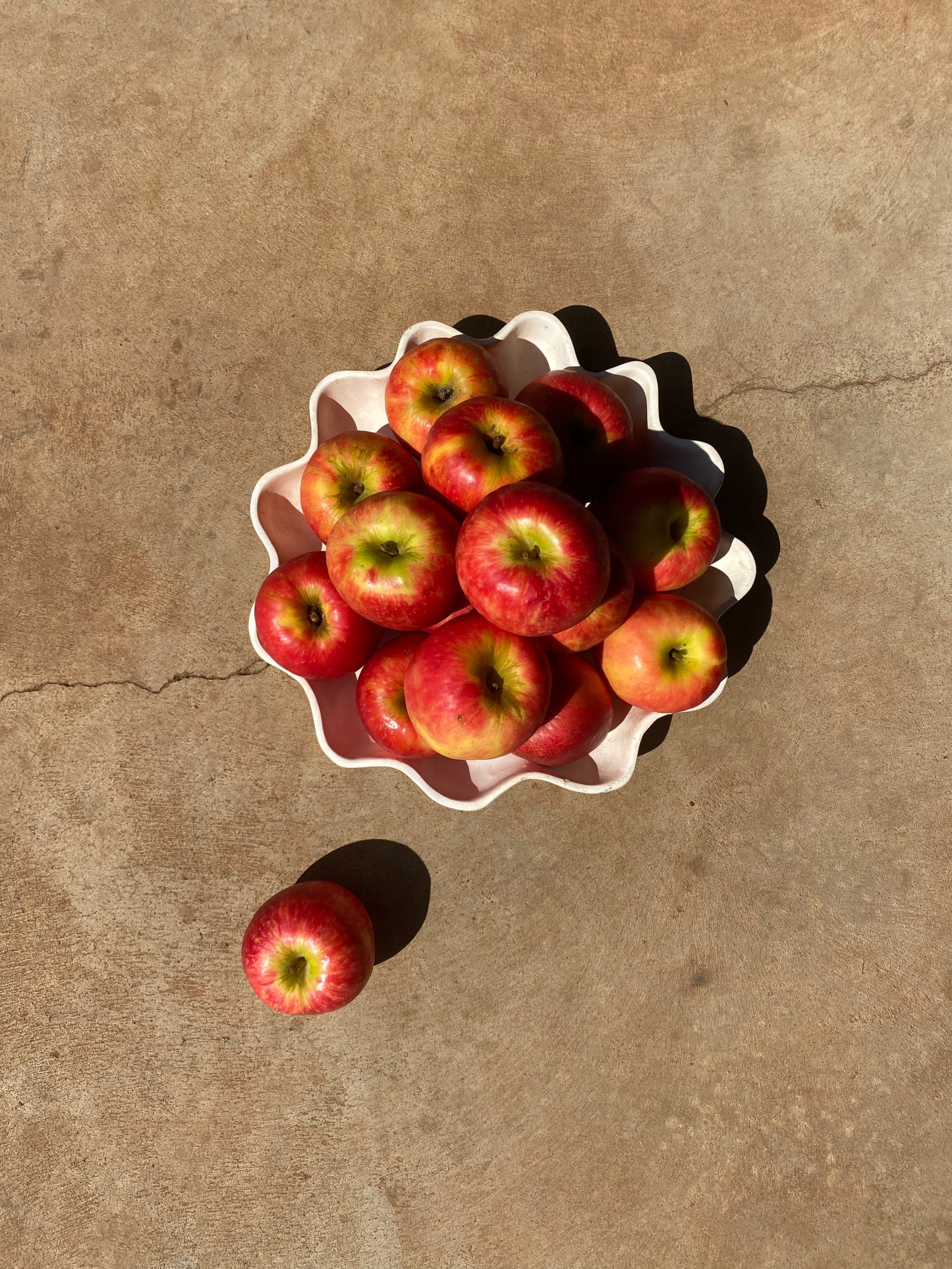 Apples, Pink Lady