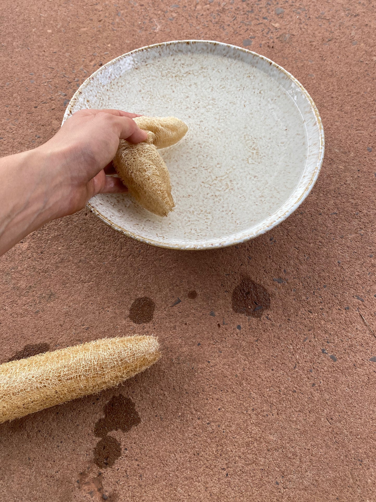 Luffa Sponge