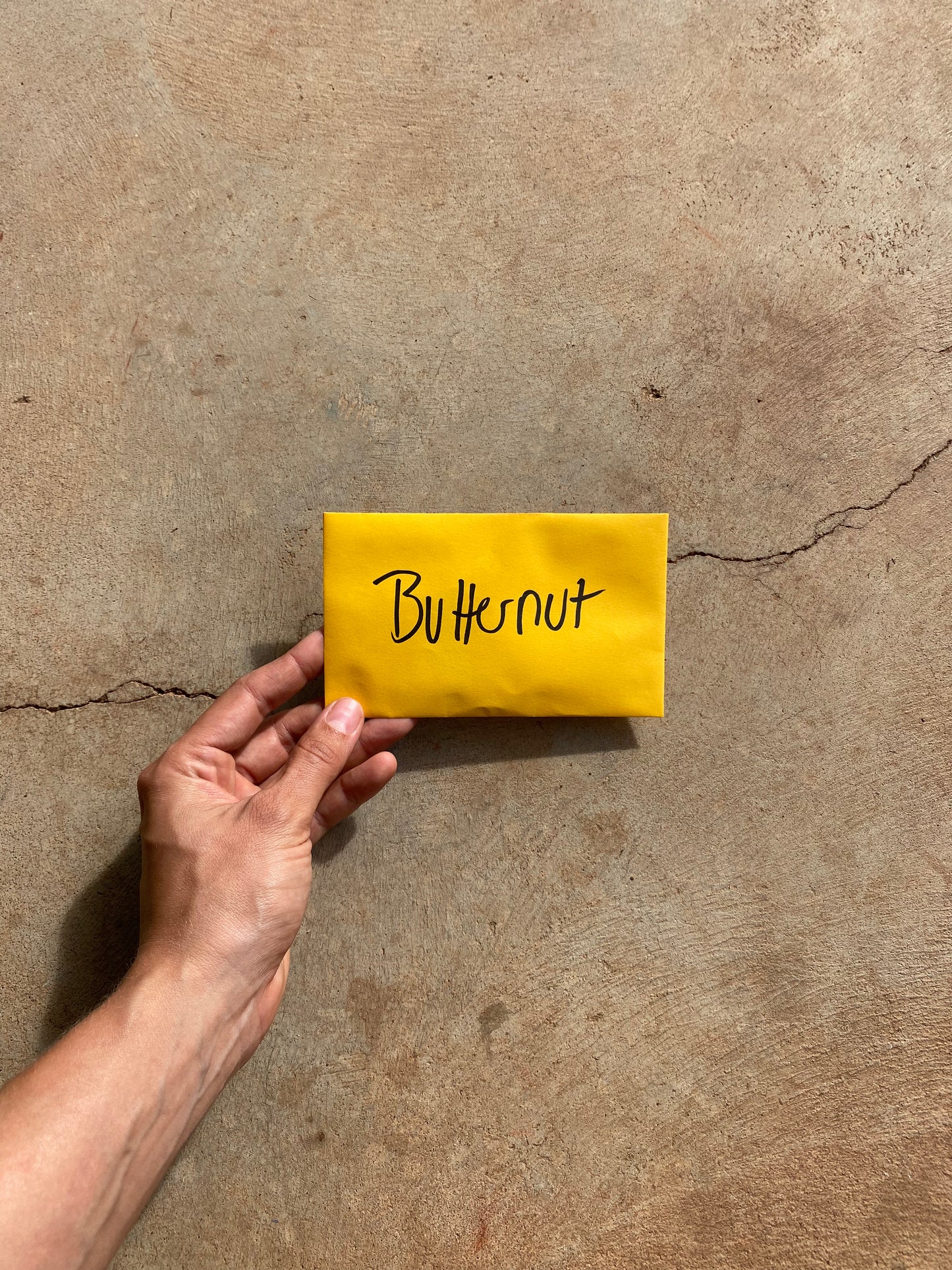 Butternut Seed Packet