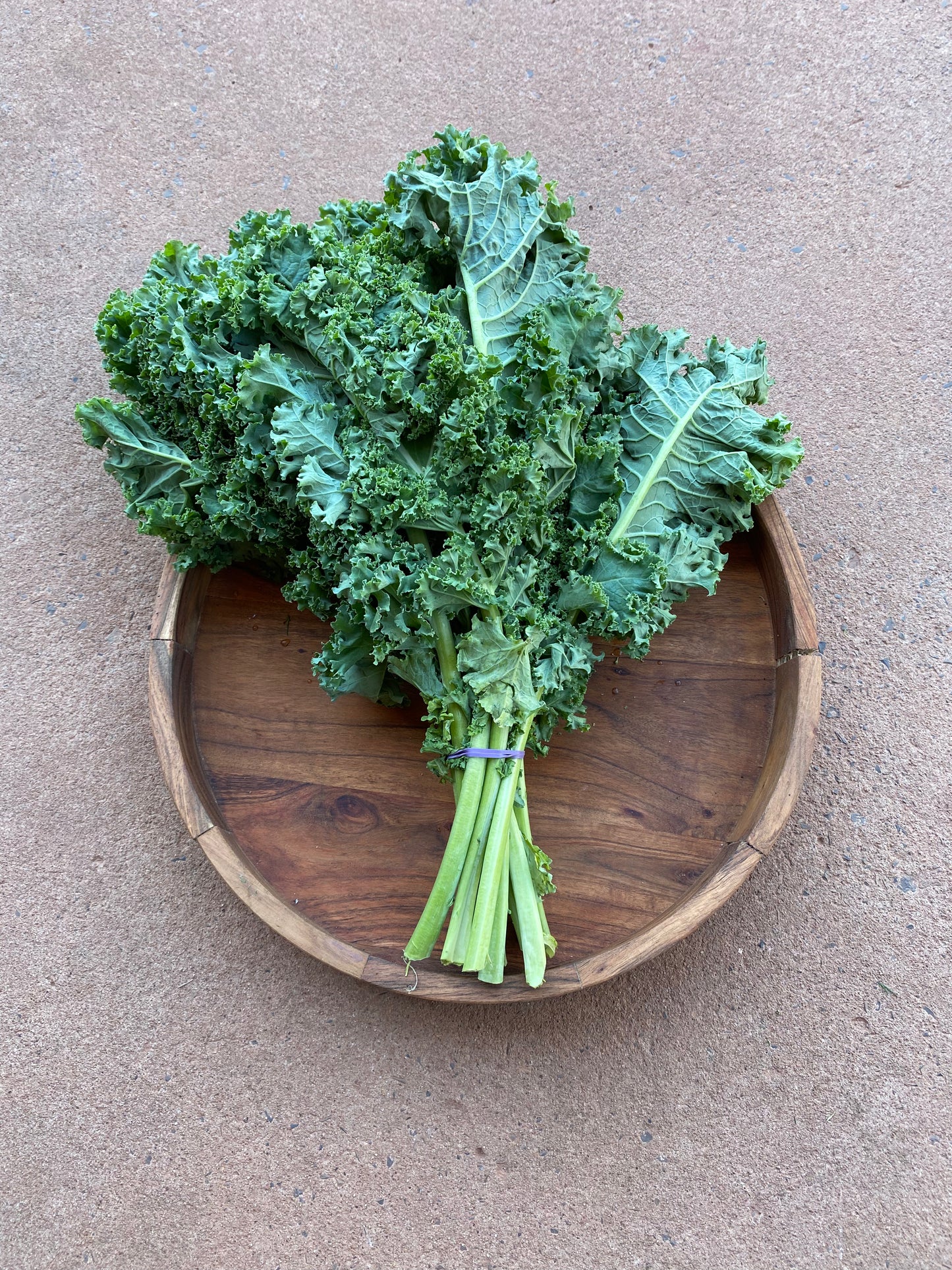 Kale Tuscan bunch
