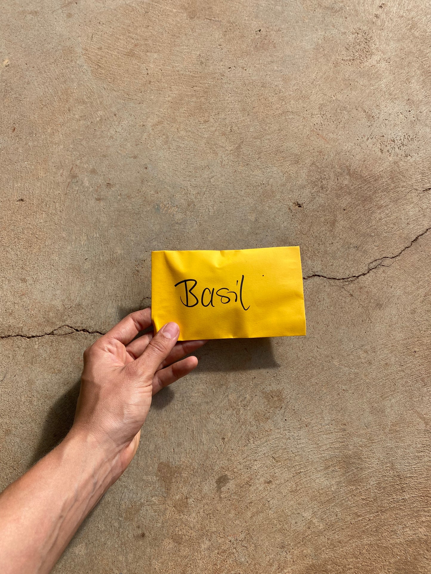 Basil Seed Packet