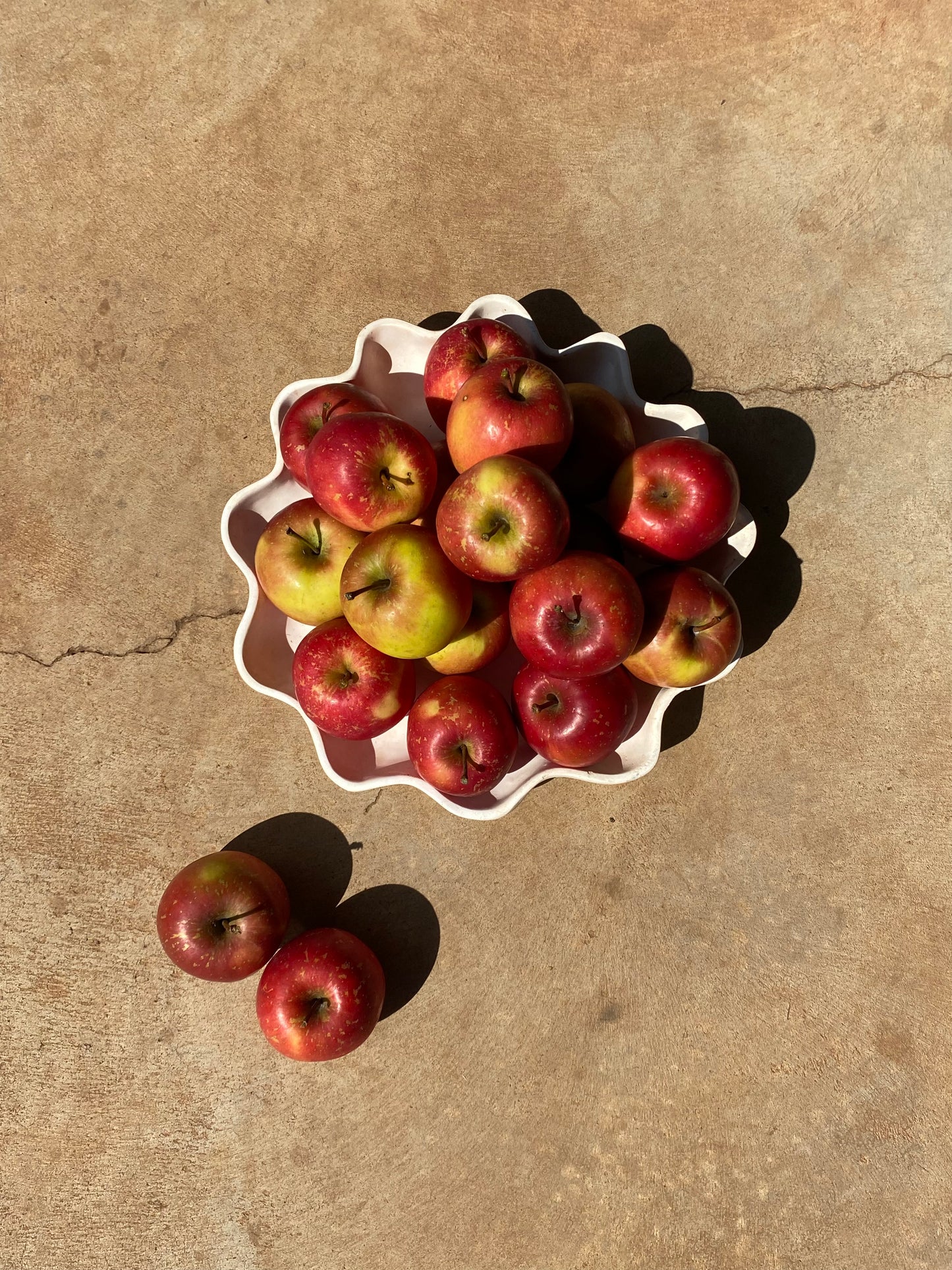 Apples, fuji 1kg new season