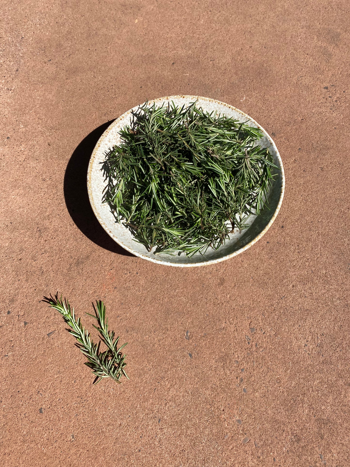 Rosemary
