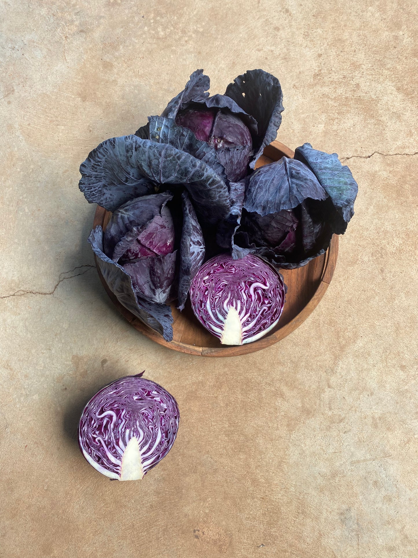 Cabbage, red medium size