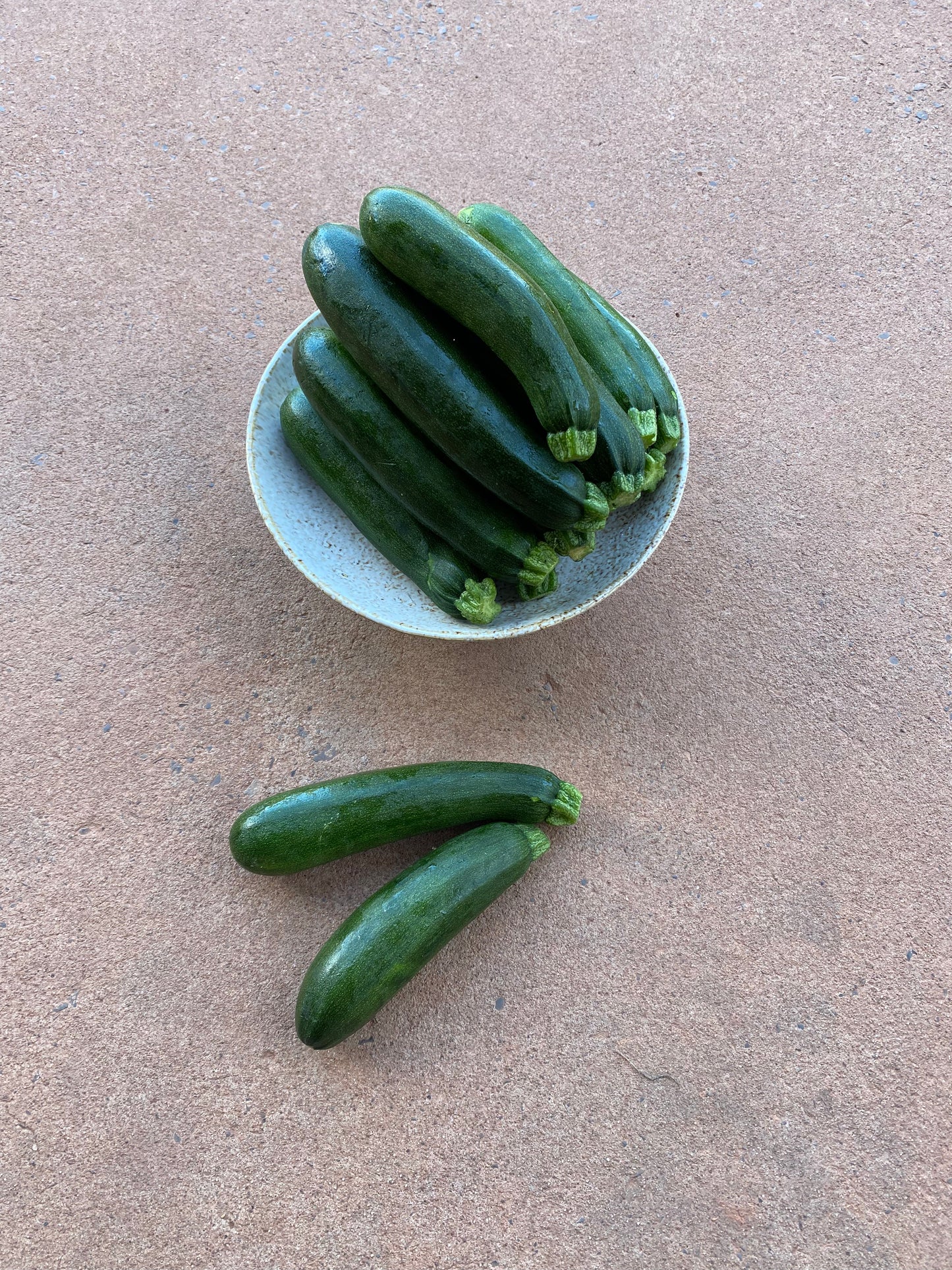 Zucchini