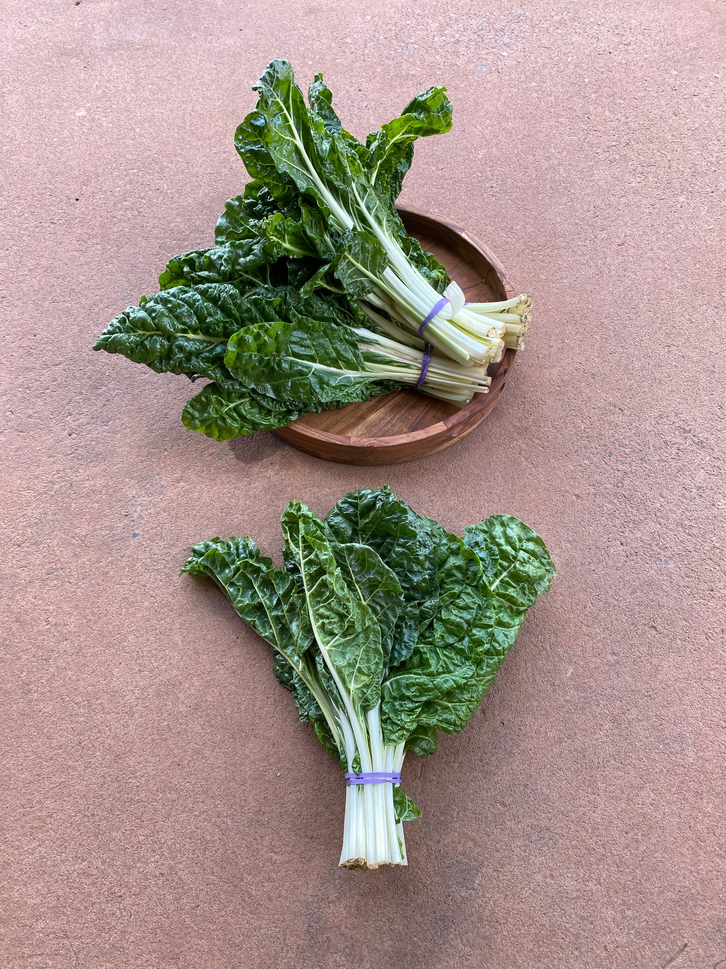 Silverbeet