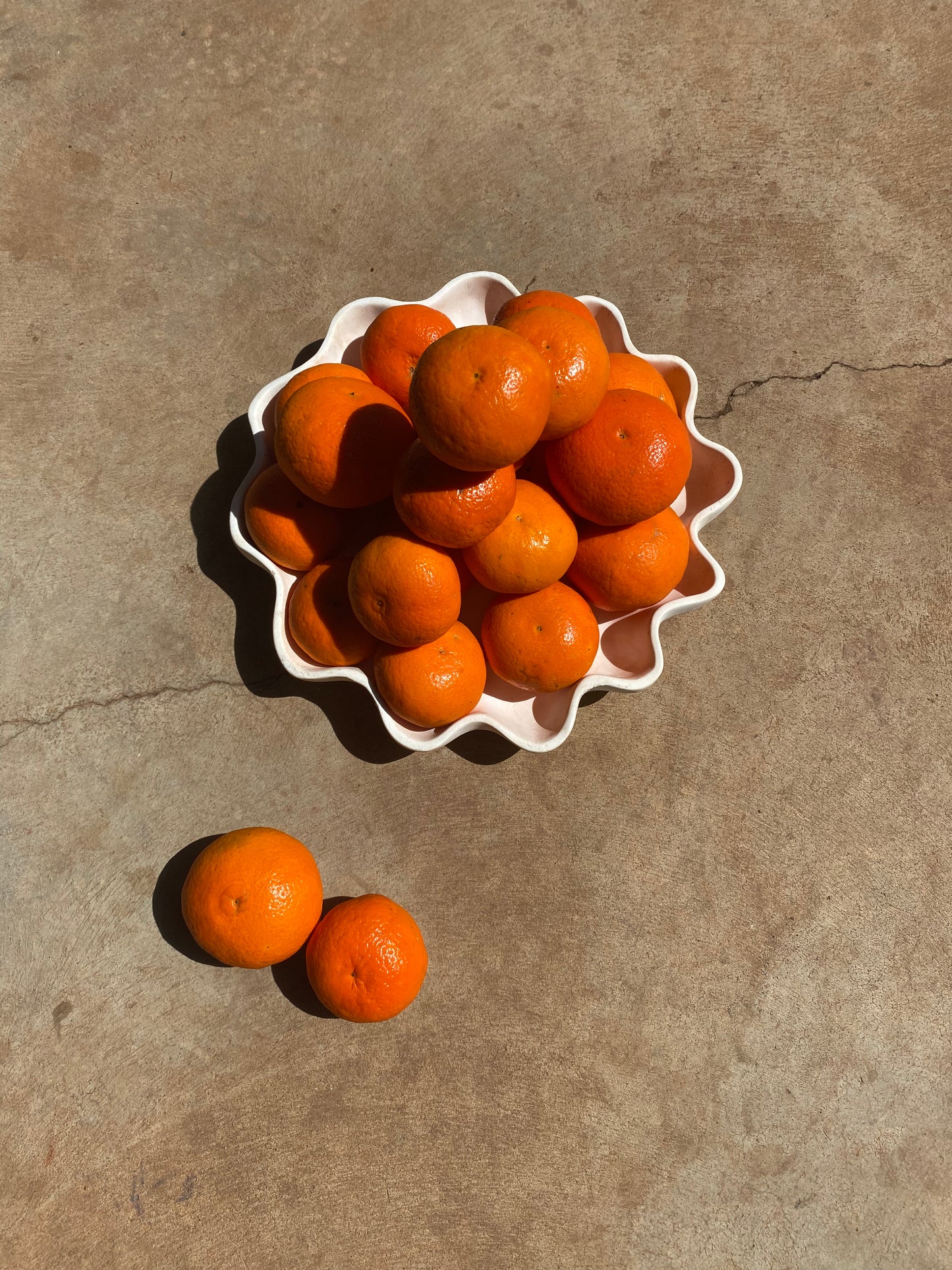 Mandarins,daisy