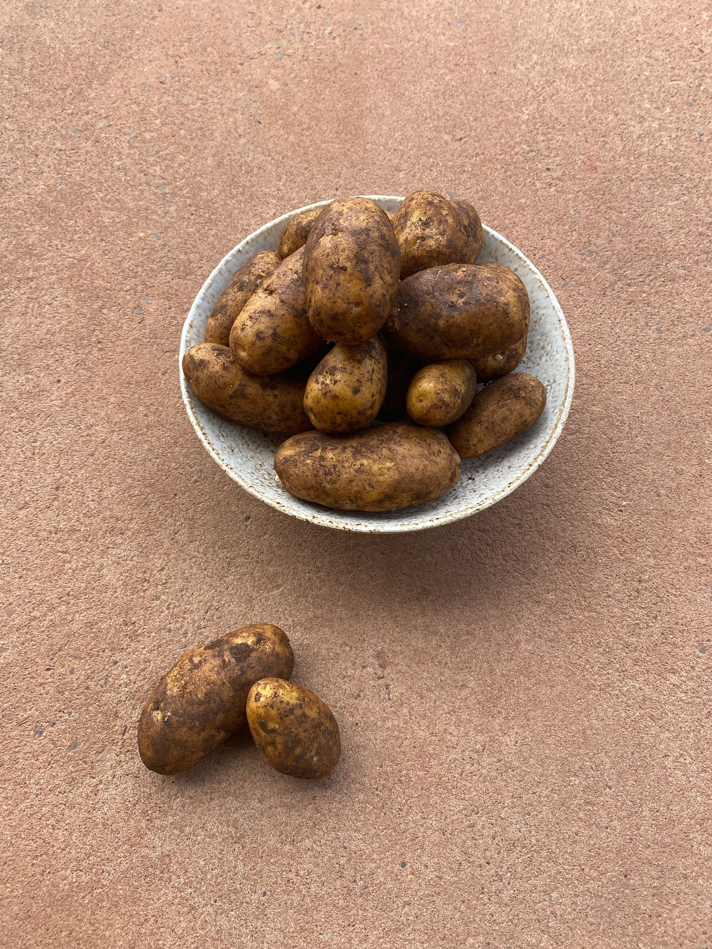 Potatoes, Dutch cream 1kg