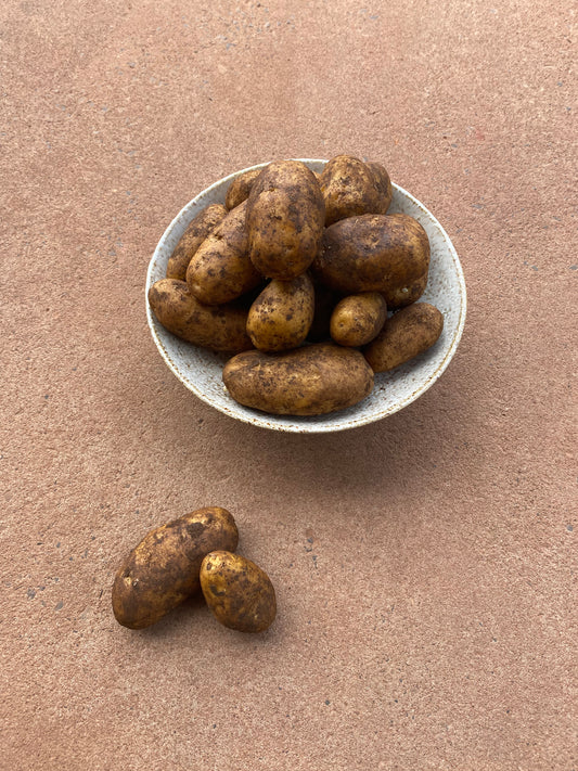 Potatoes, Dutch Cream