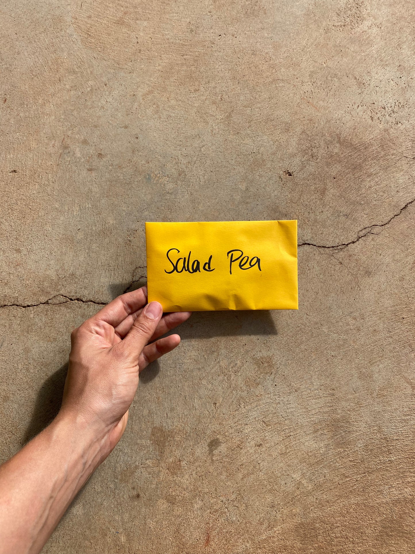 Salad Pea Seed Packet