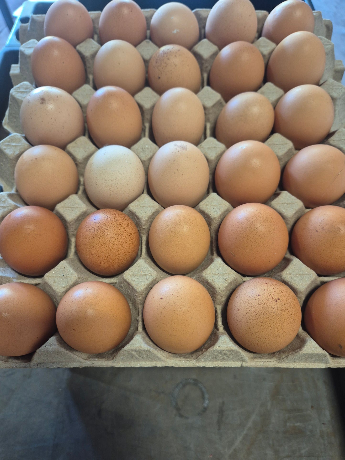 30 egg value tray