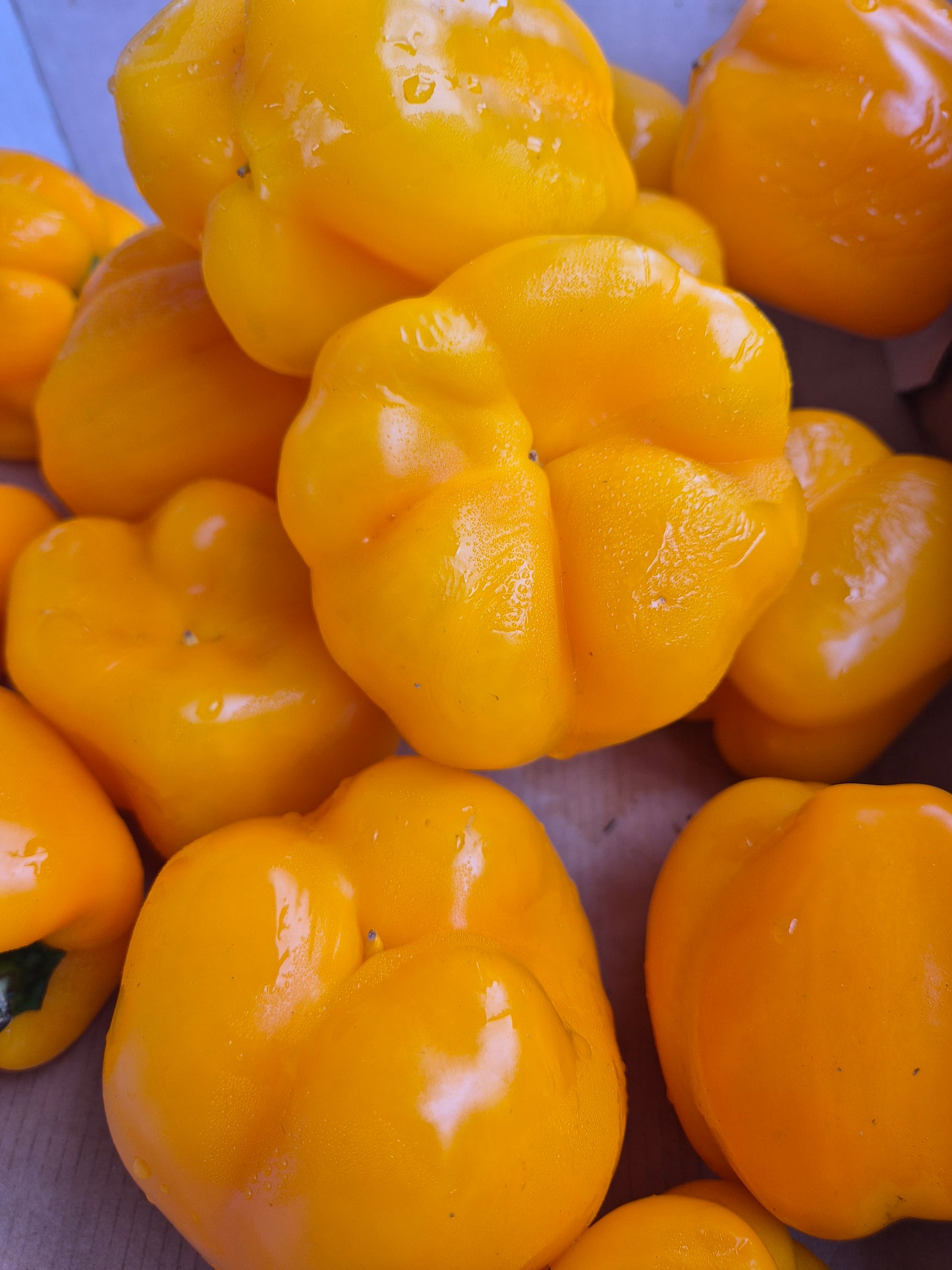Capsicum yellow 500g