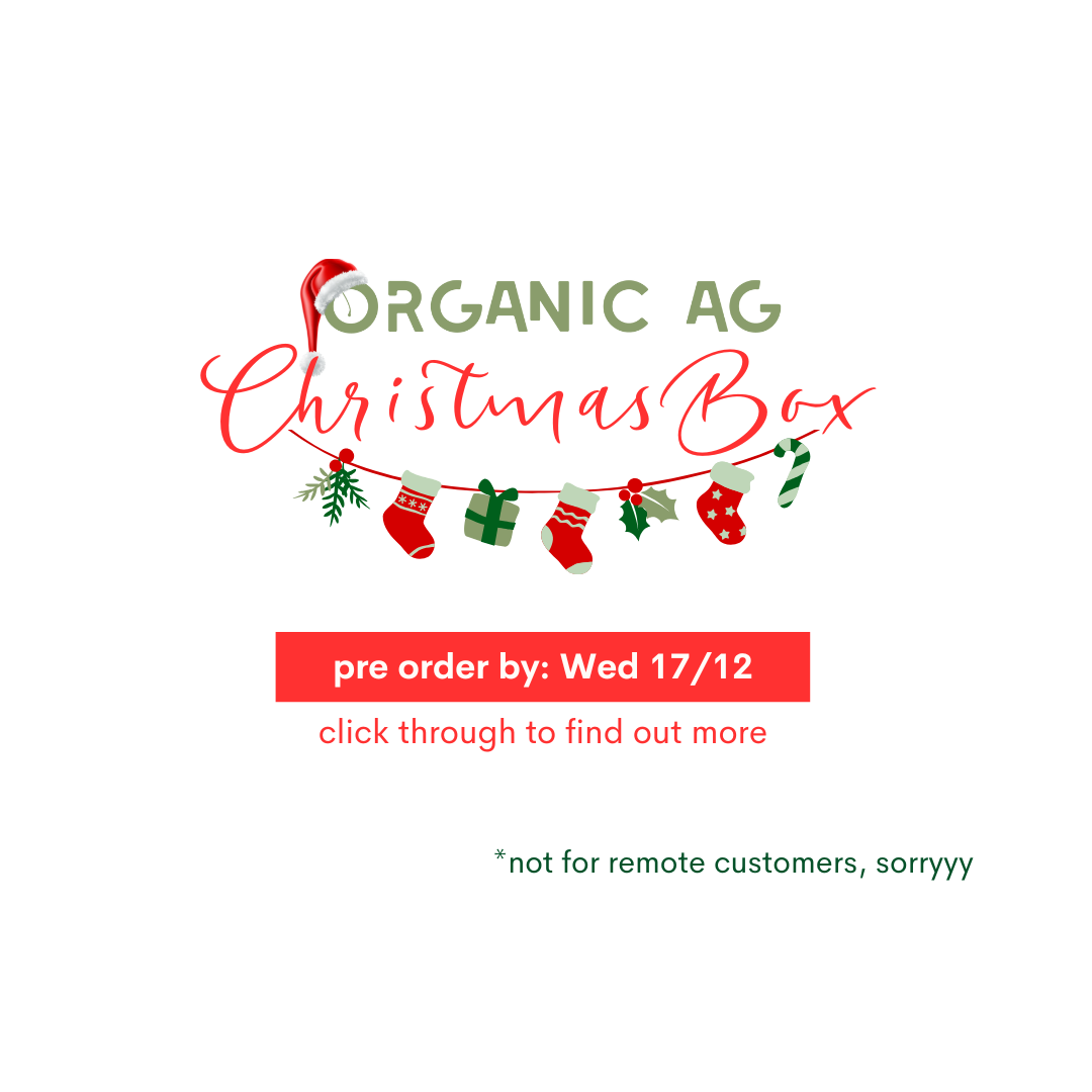 Christmas Box ADD ON BUNDLE