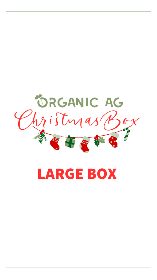 Christmas Box LARGE