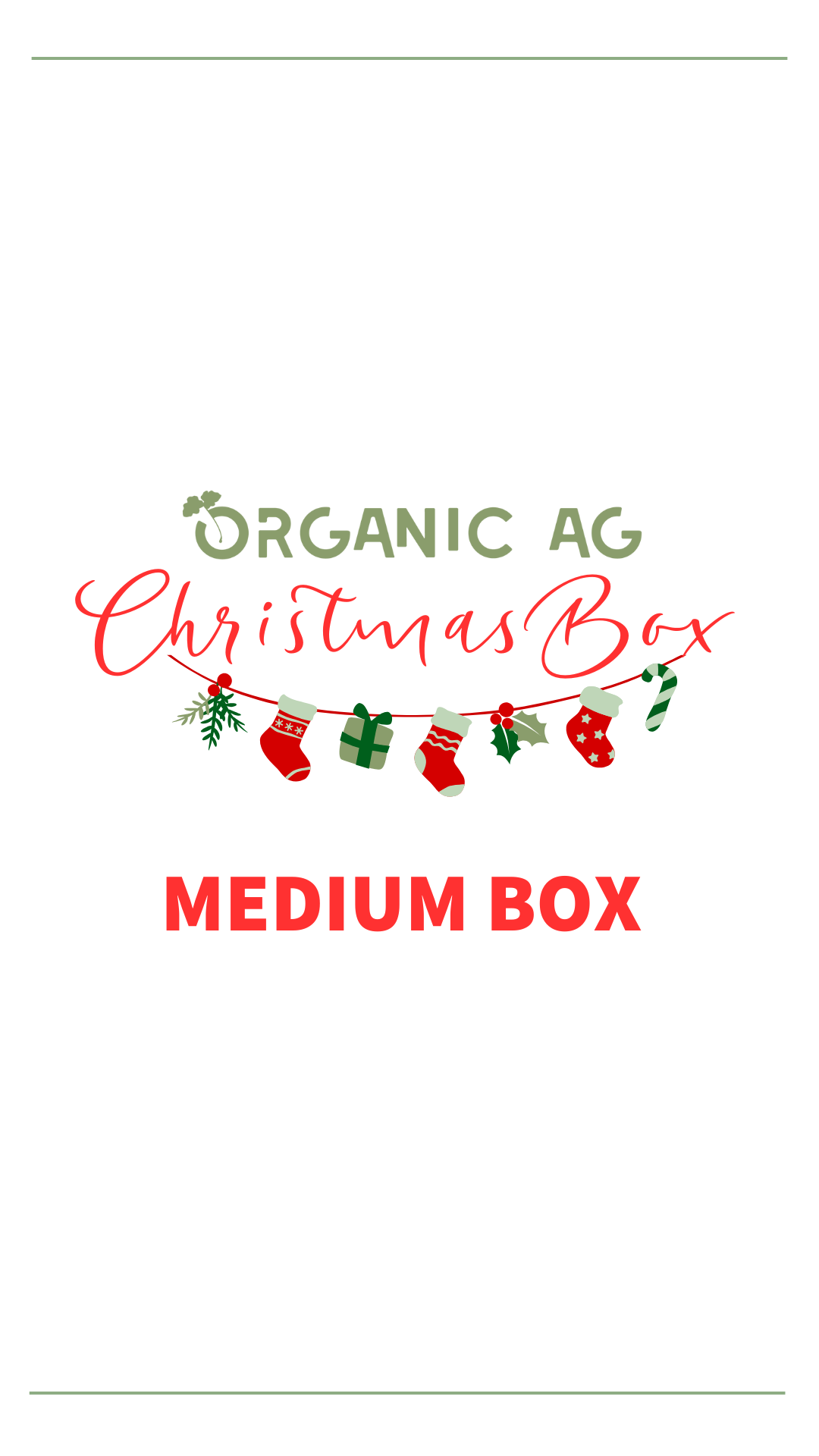 Christmas Box MEDIUM
