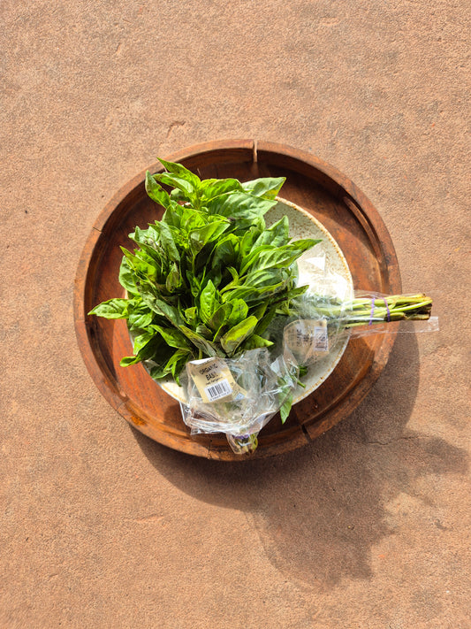 Basil bunch local