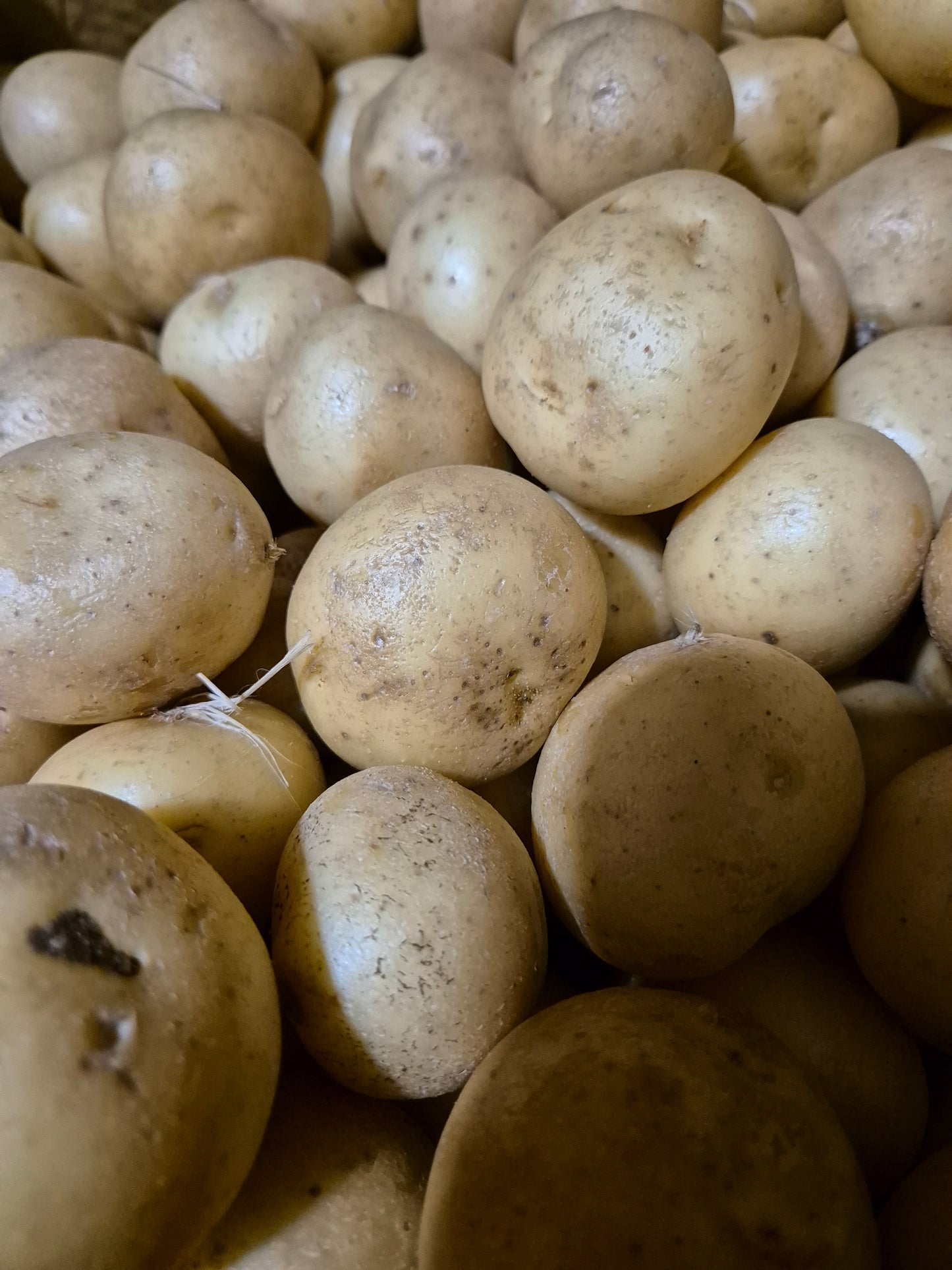 Potatoes Dutch cream washed 1kg
