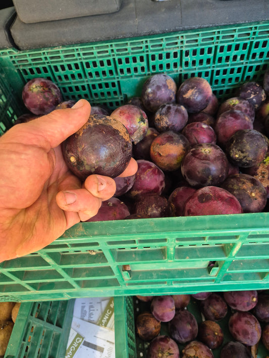 Star apples 1kg