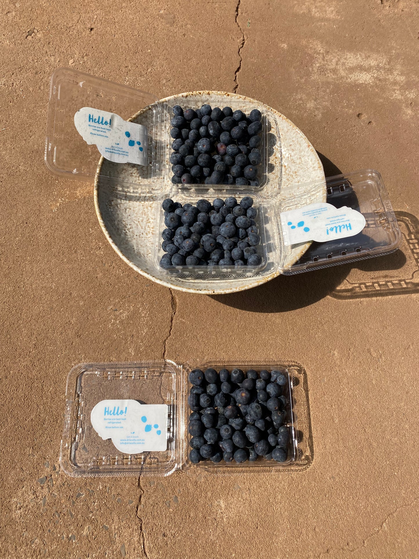 Blueberries