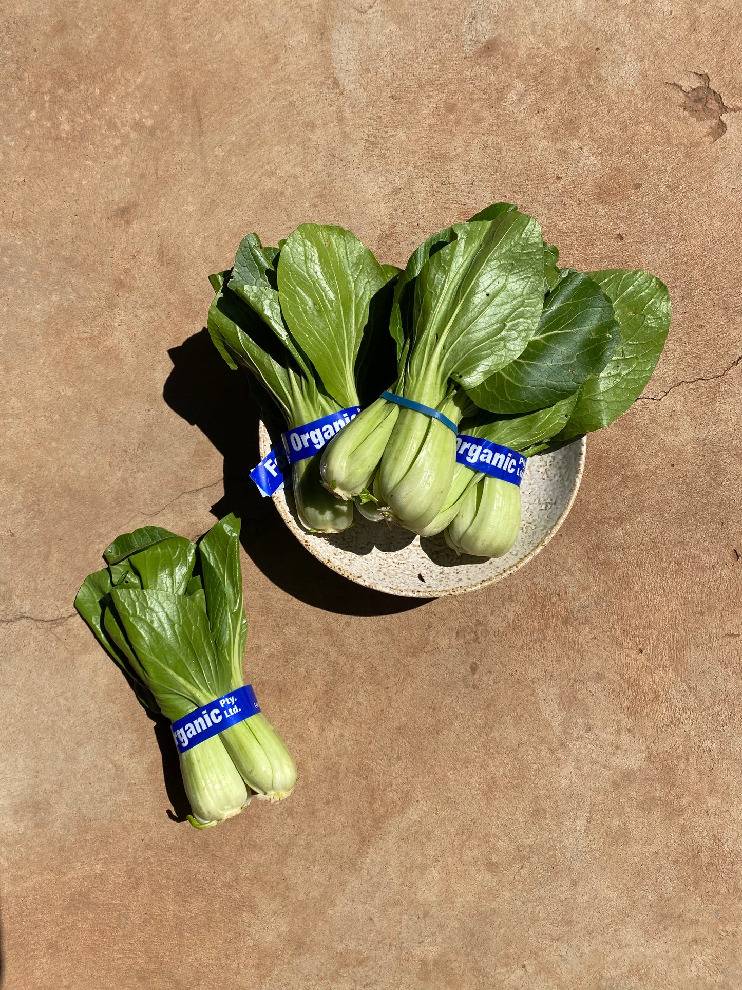 Pak Choi, bunched