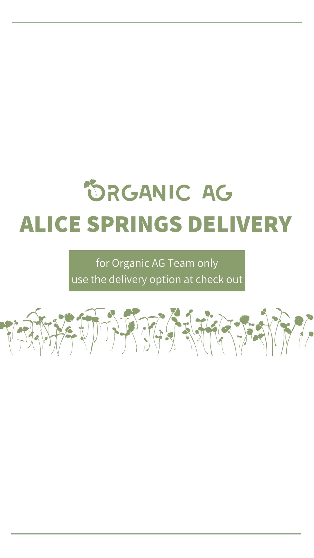 Alice Springs Delivery