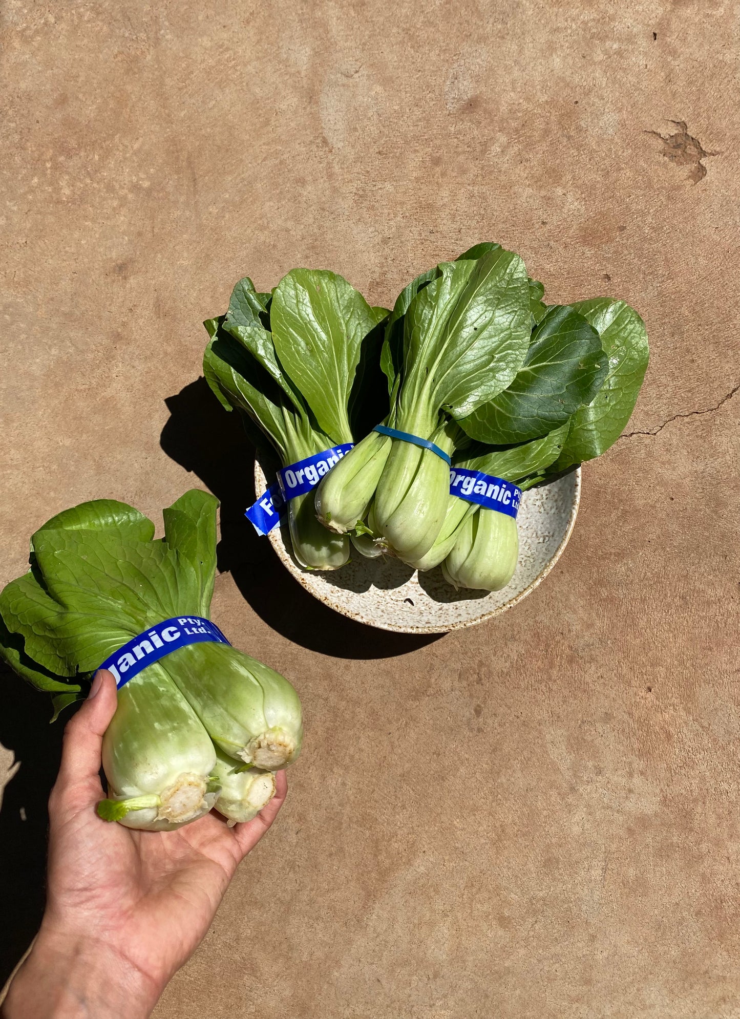 Pak Choi, bunched
